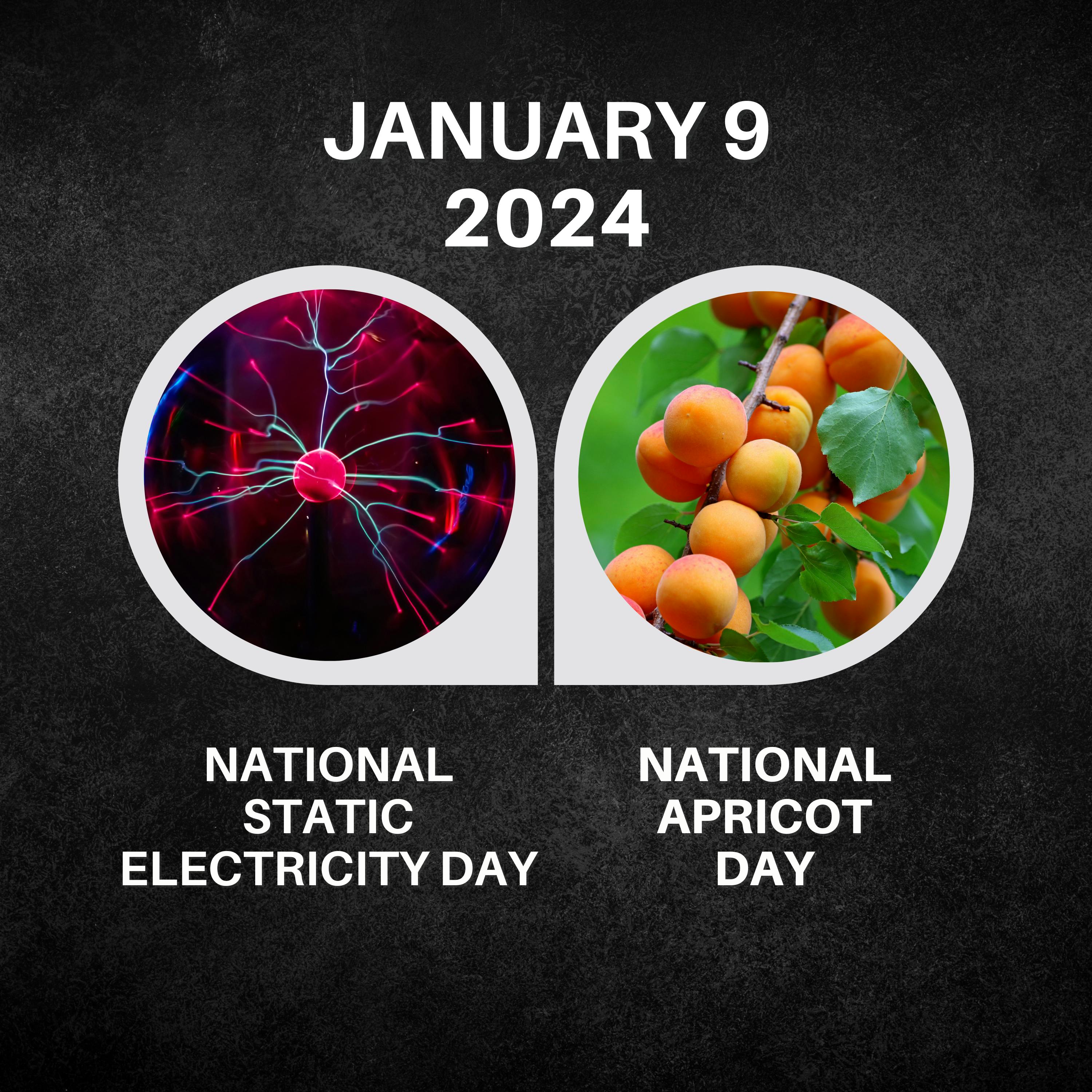 January 9, 2024 | Electric Sparks & Apricot Delights