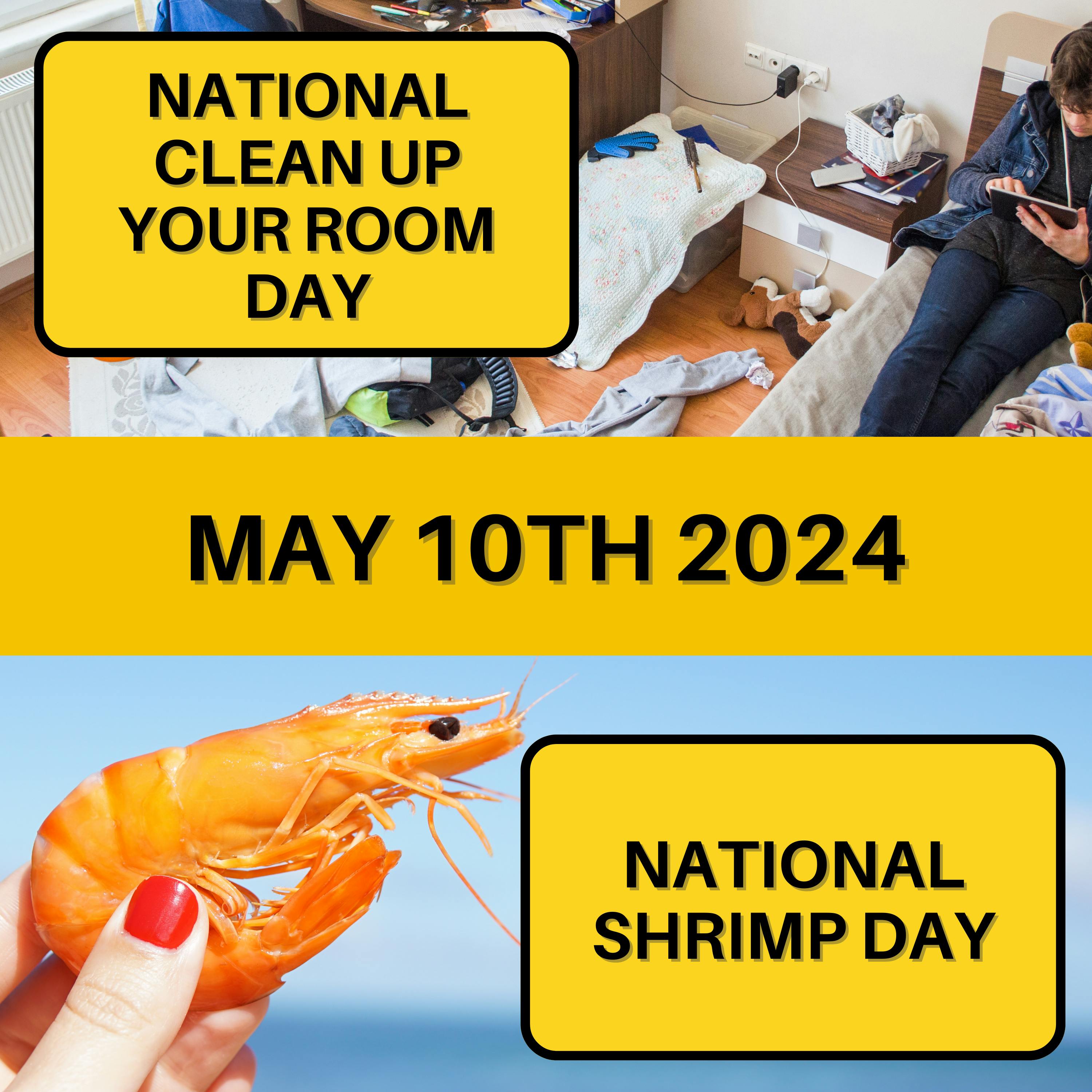 May 10, 2024 | Clean Rooms and Succulent Sea Food