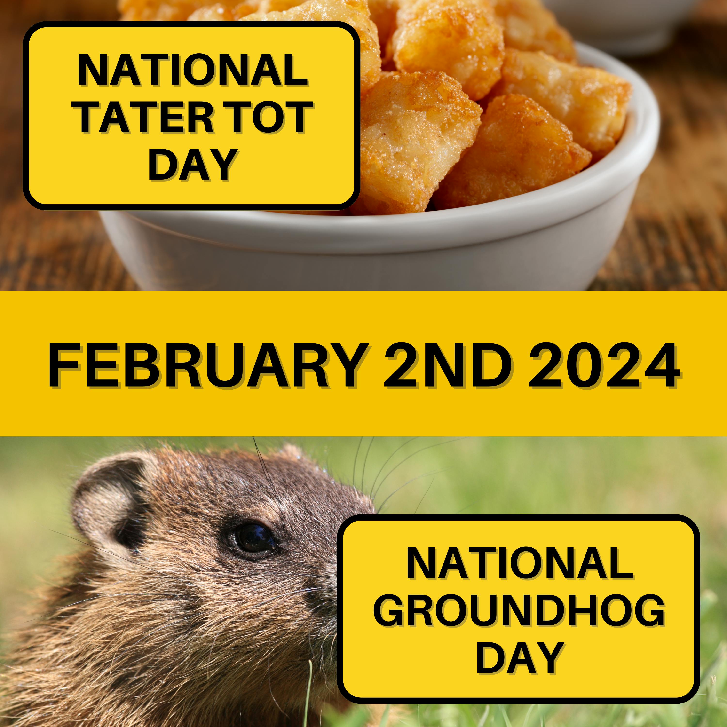 February 2, 2024 | Crispy Bites and Weather Predictions