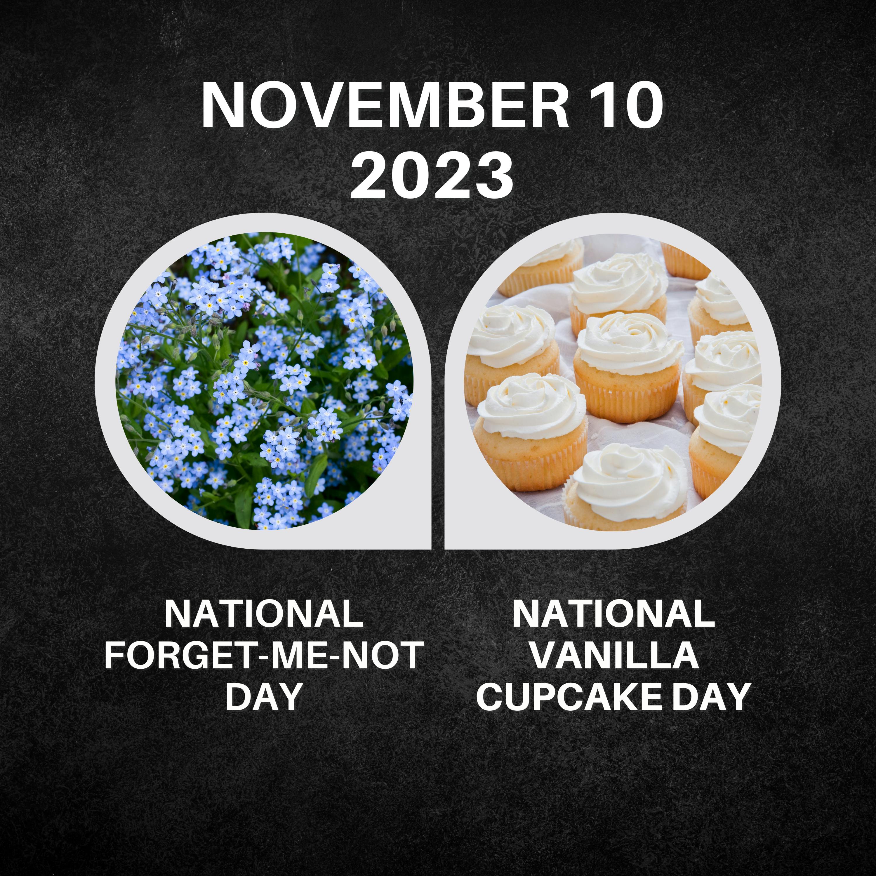 November 10, 2023 | Memory Lane and Vanilla Cupcake Bliss