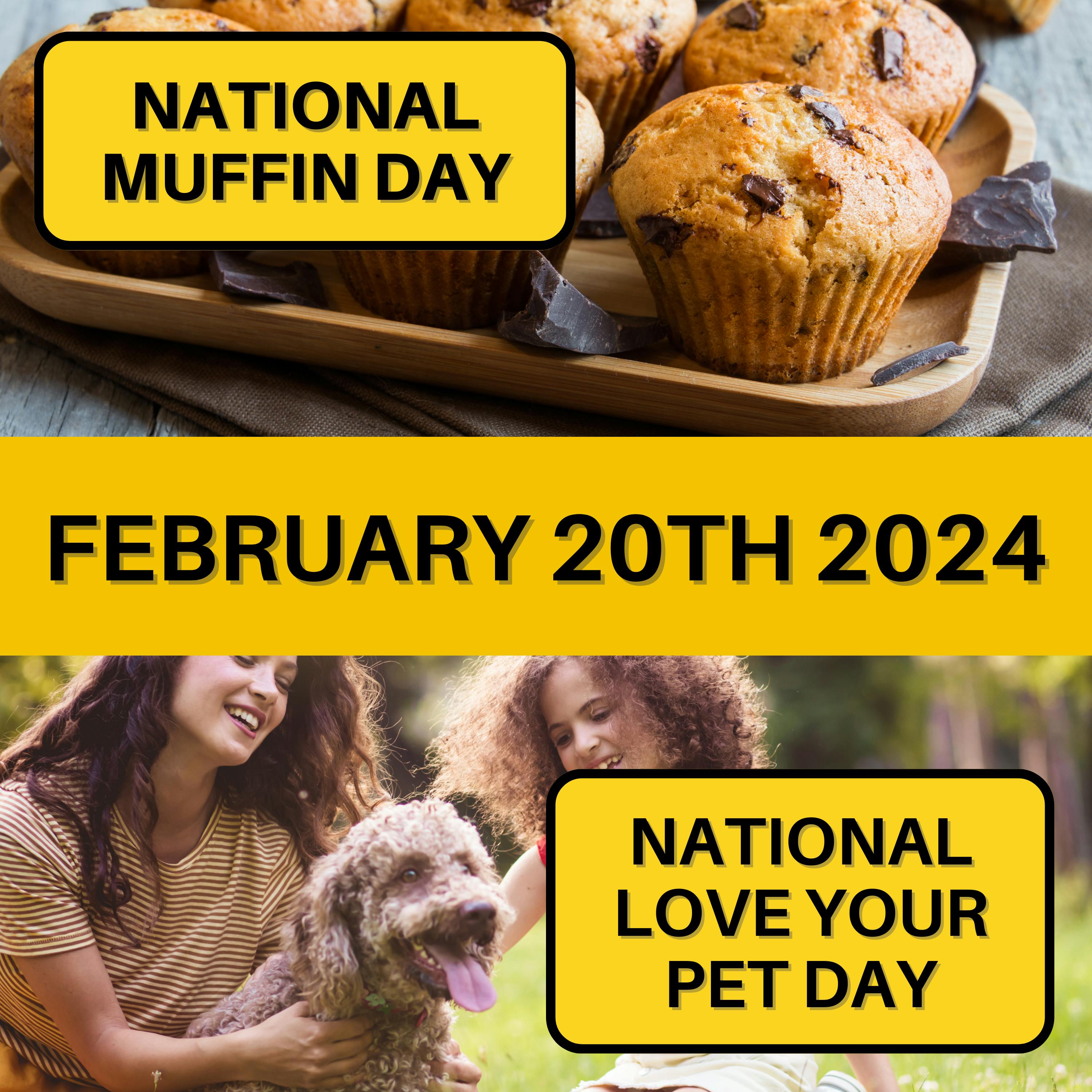 February 20, 2024 | Muffin Mania and Pet Pawsitivity