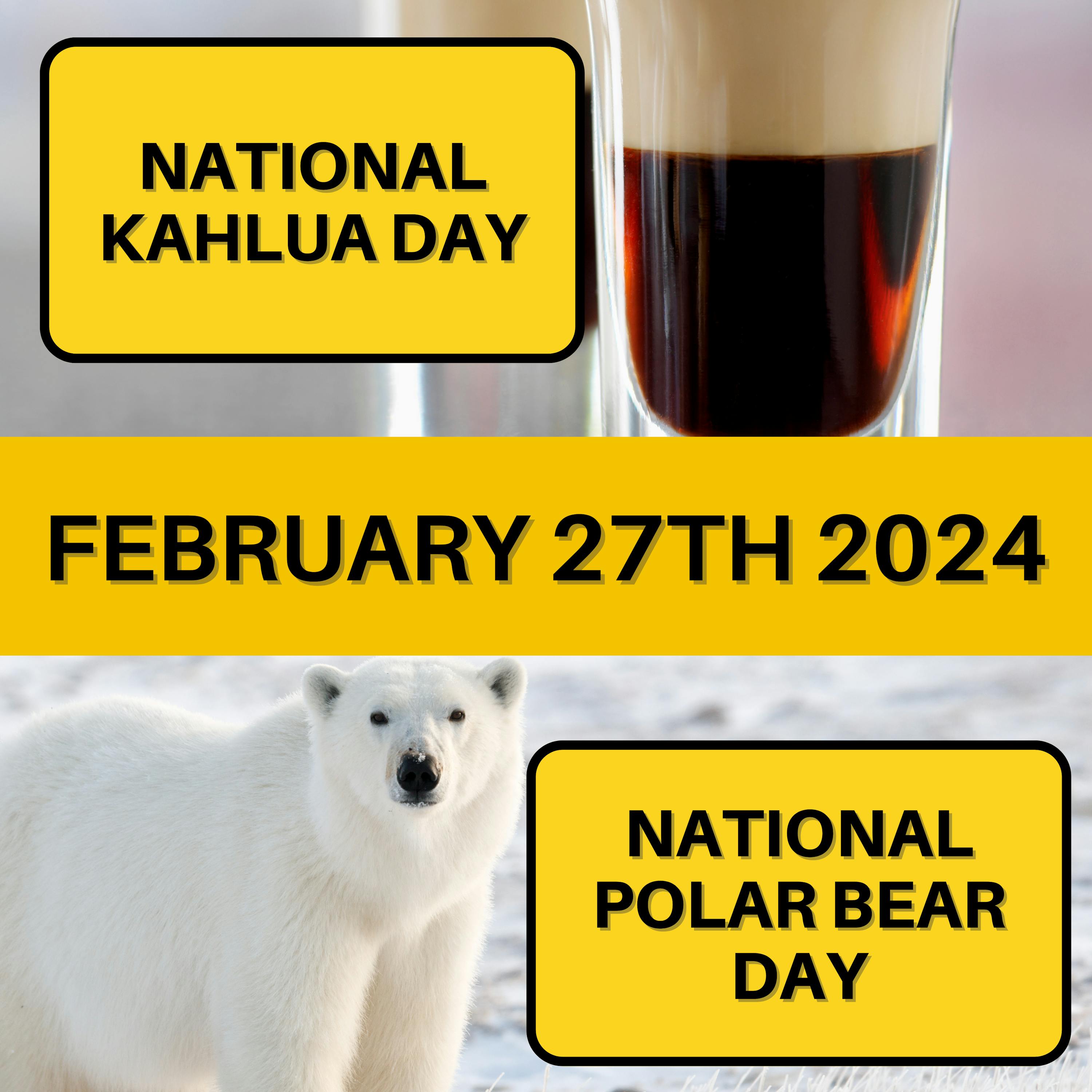 February 27, 2024 | Sun-Kissed Sands and Snowy Lands