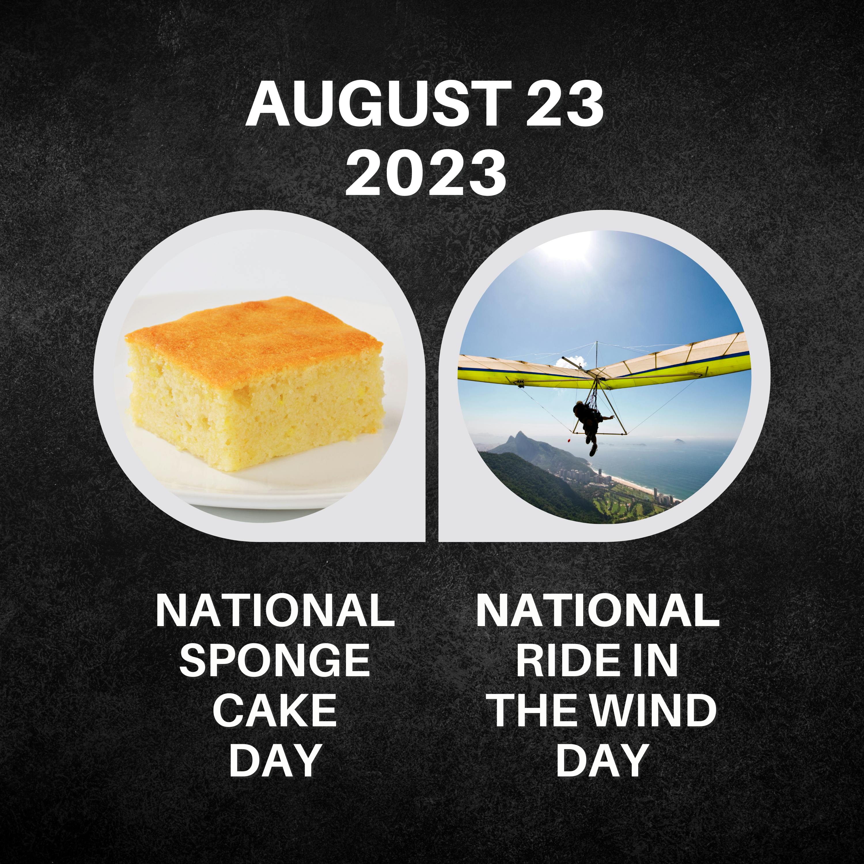 August 23, 2023 | Sweet Treats & Windy Whispers