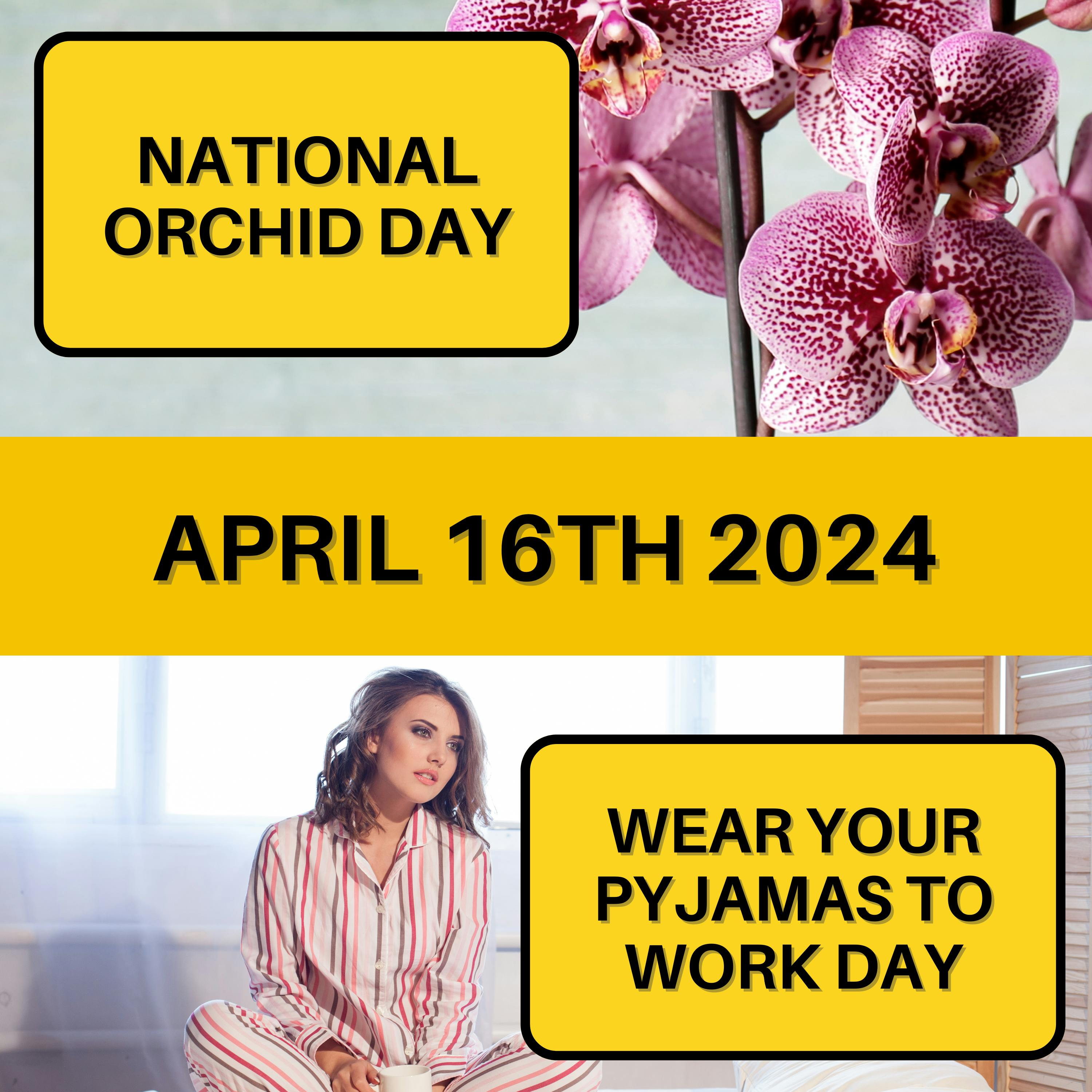 April 16, 2024 | Cozy Workdays and Elegant Blooms