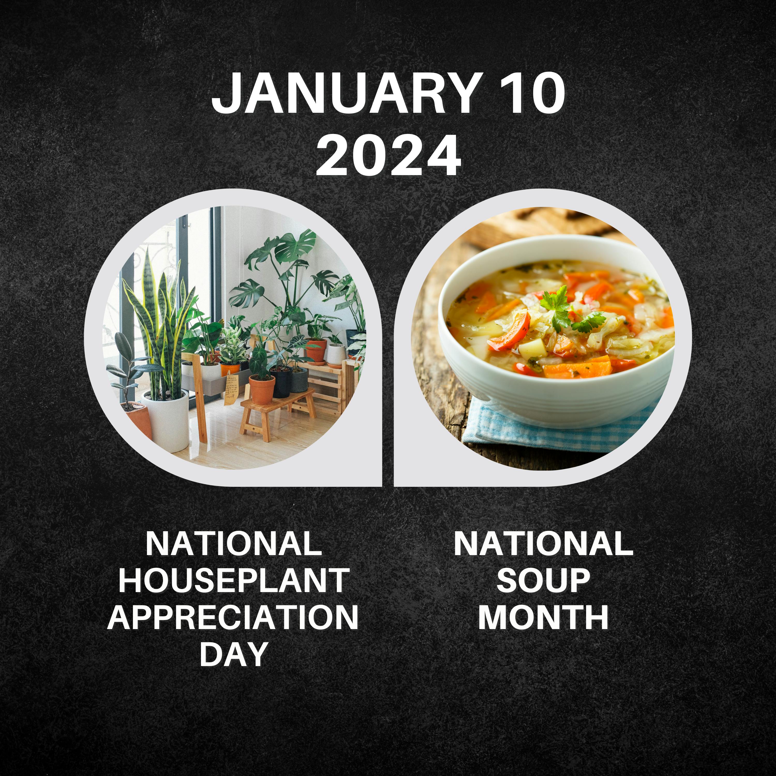 January 10, 2024 | Green Hues & Soup Brews