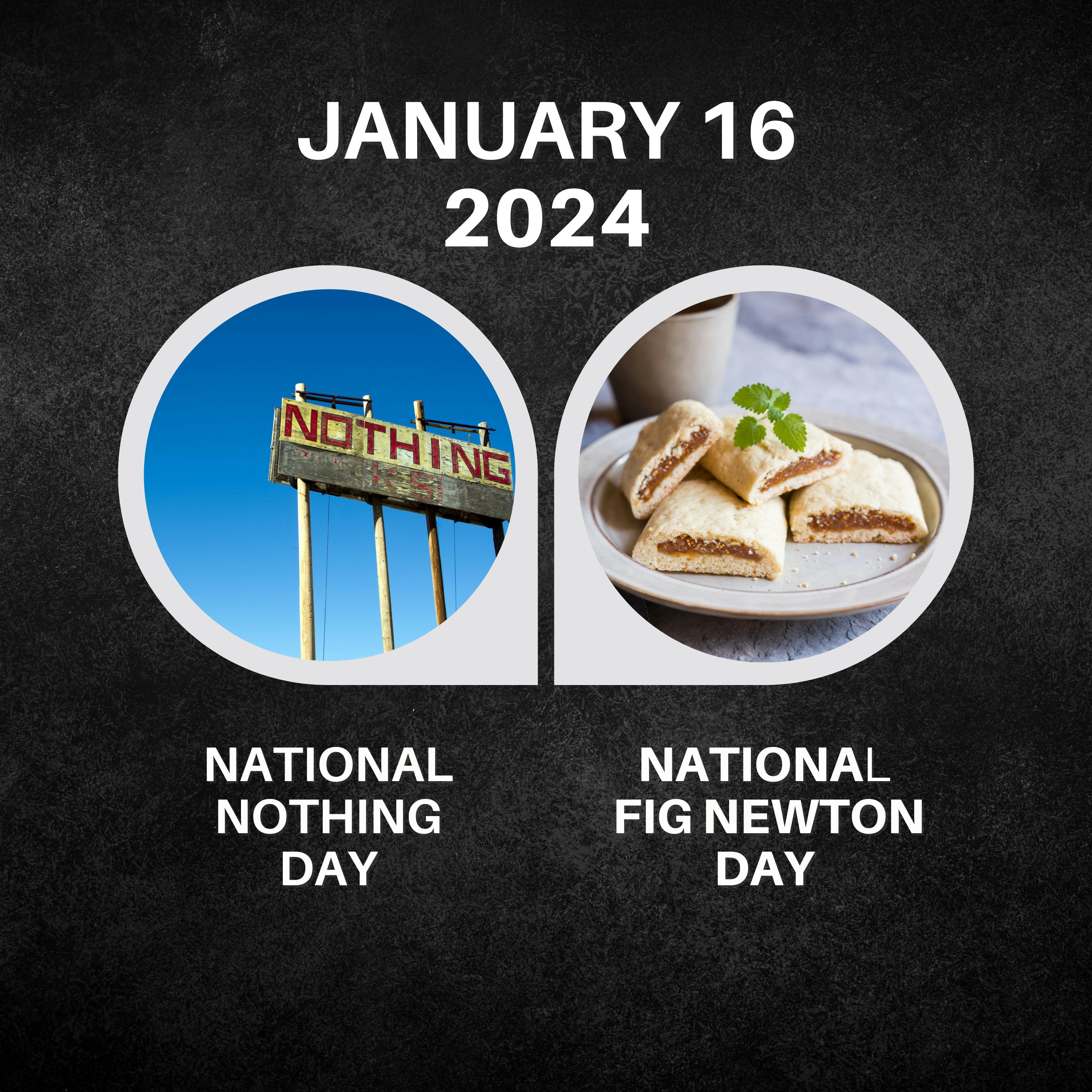 January 16, 2024 | Fig Newtons and the Art of Doing Nothing