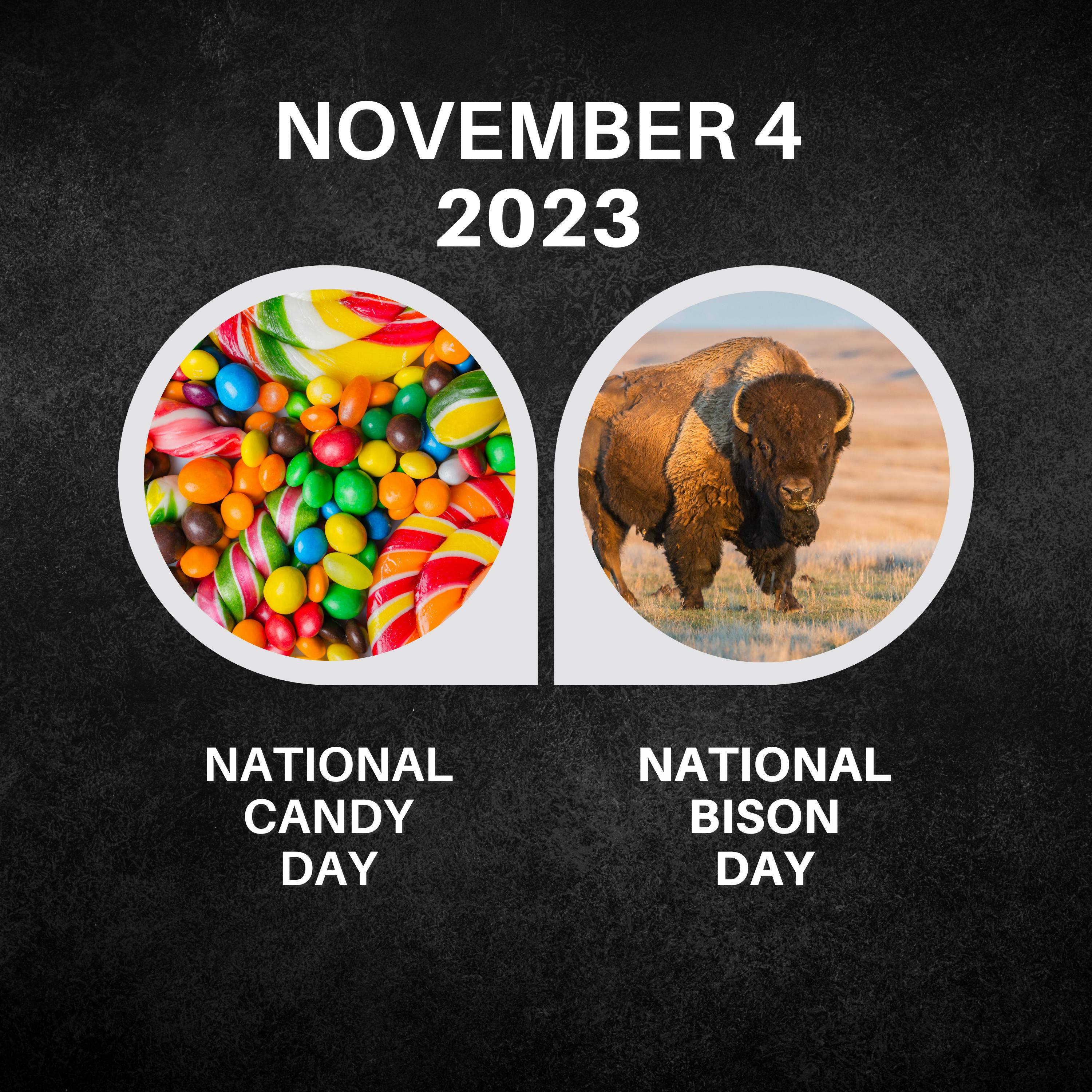 November 4, 2023 | Sweets Galore and the Bison's Roar
