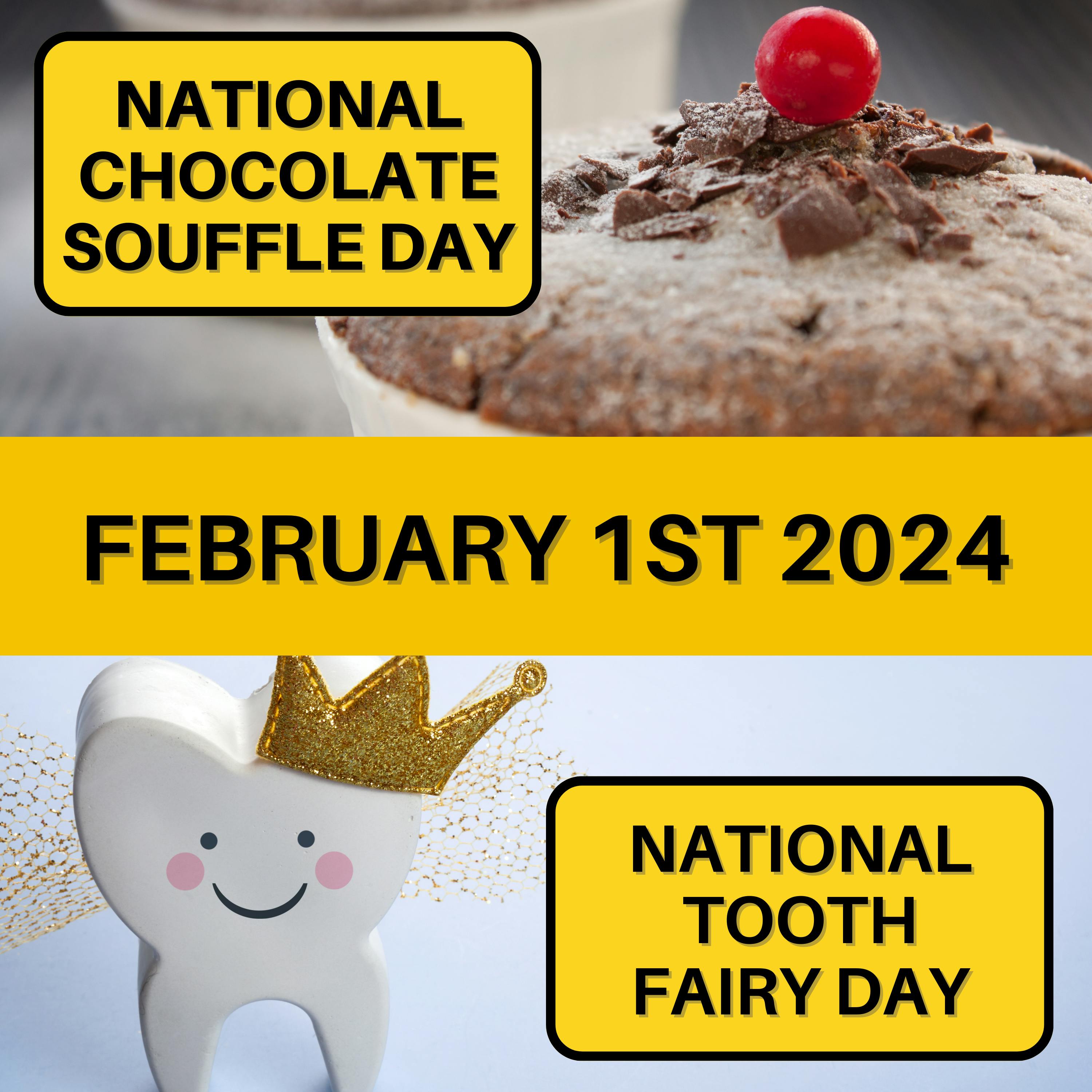 February 1, 2024 | Sweet Elevation and Enchanted Smiles