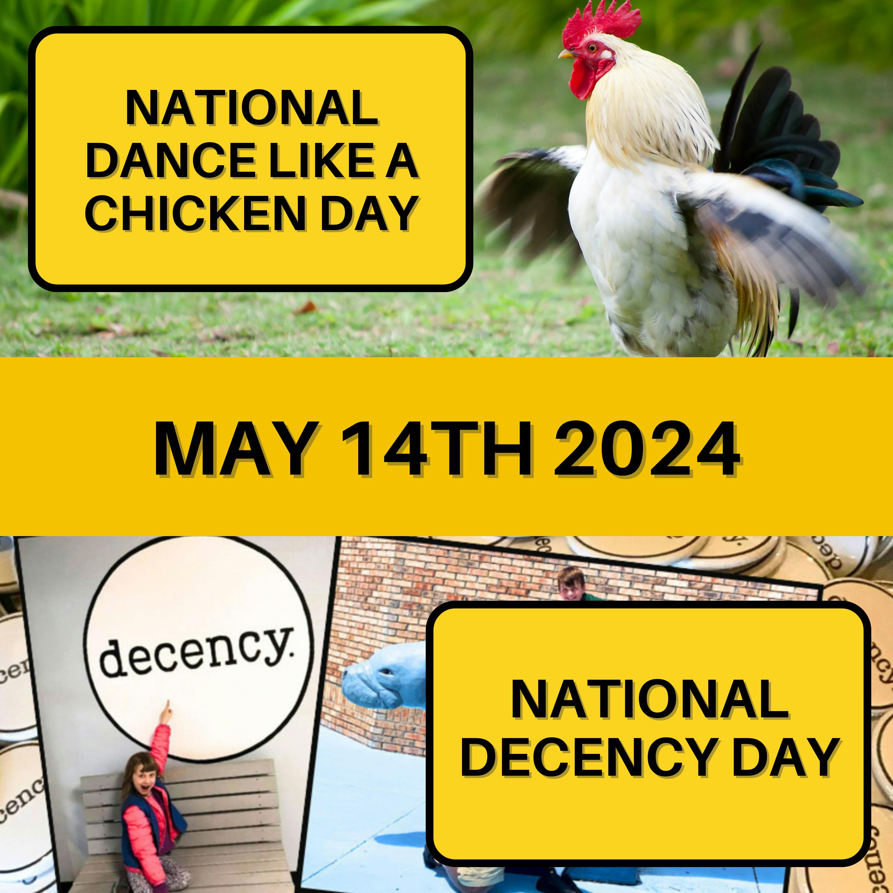 May 14, 2024 | Feathered Fun and Acts of Kindness