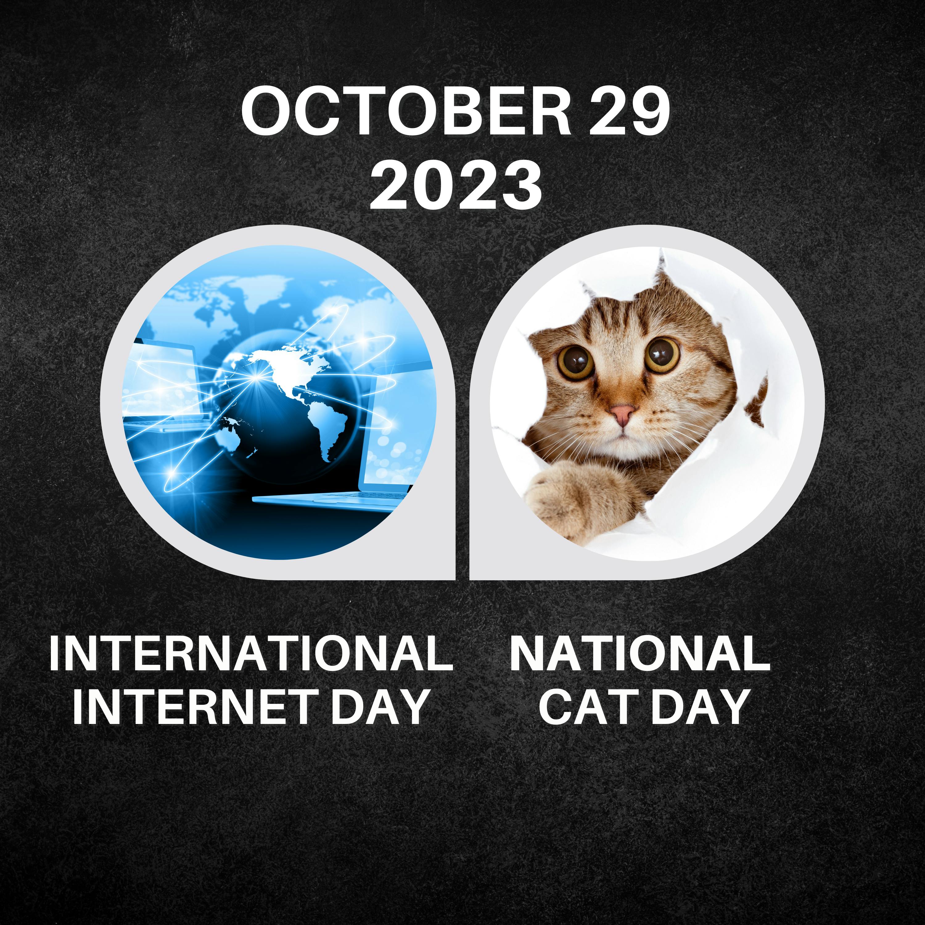 October 29, 2023 | Digital Paws and Feline Stars