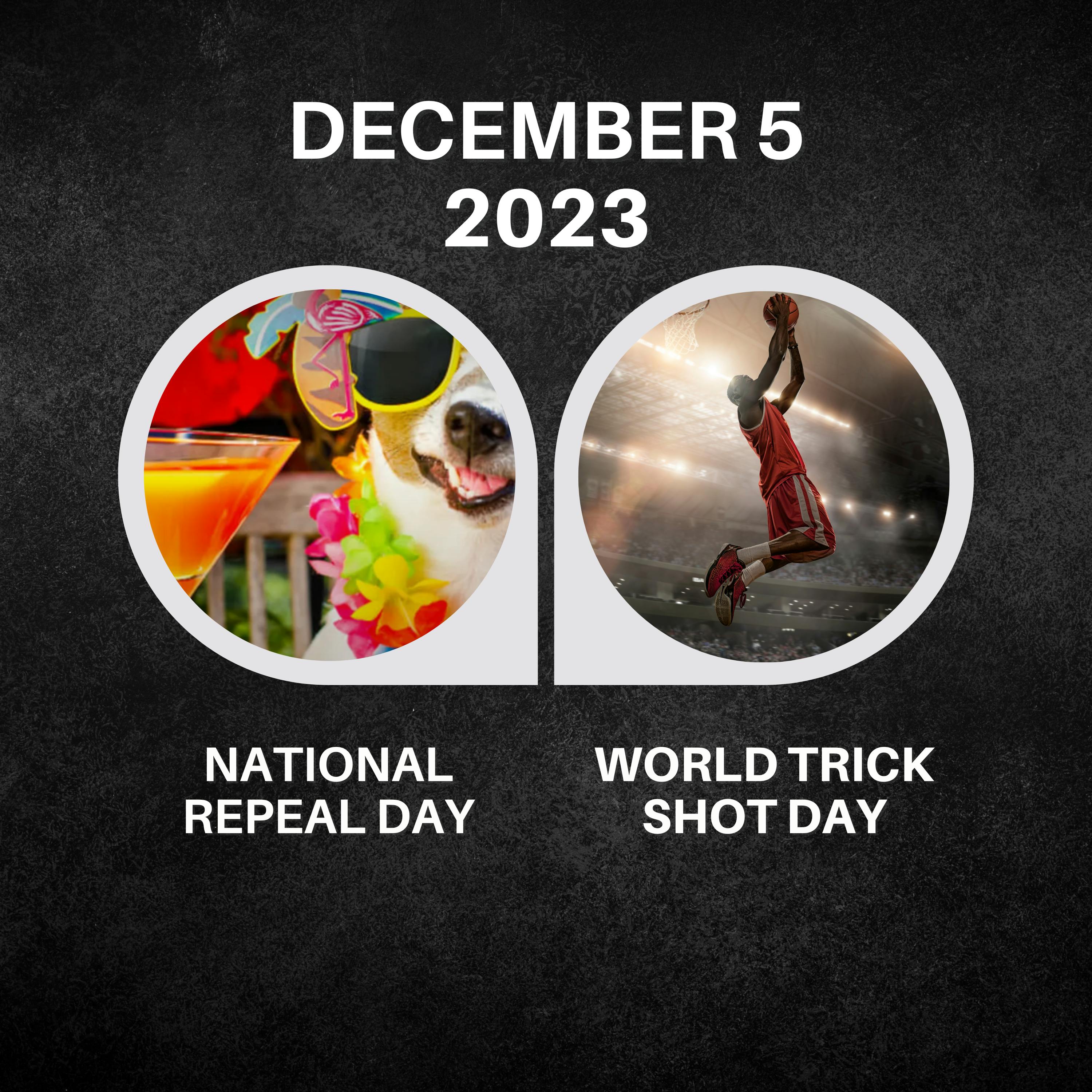 December 5, 2023 | Cheers to Liberation and Skillful Shots