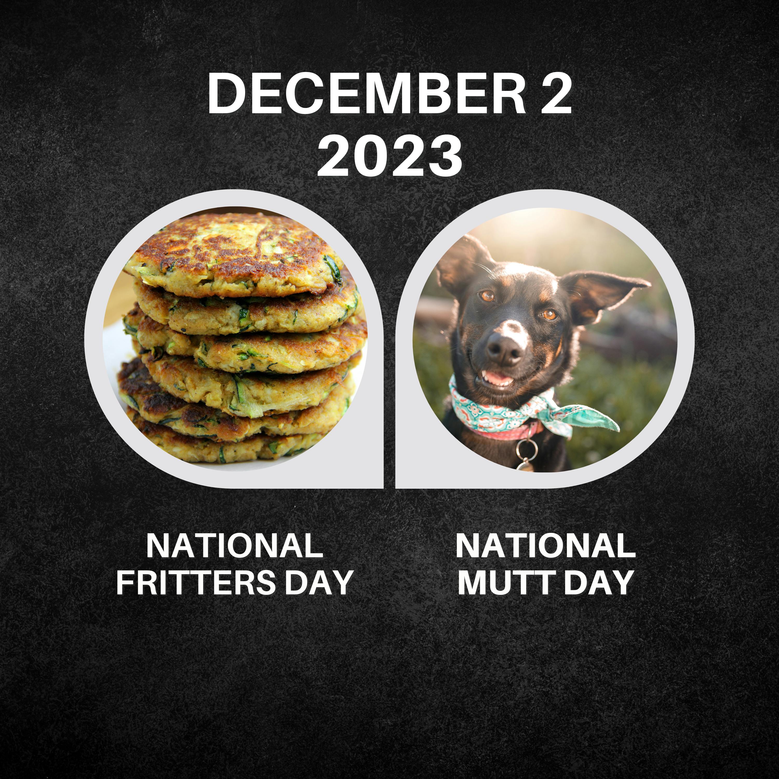 December 2, 2023 | Tasty Bites and Canine Delights