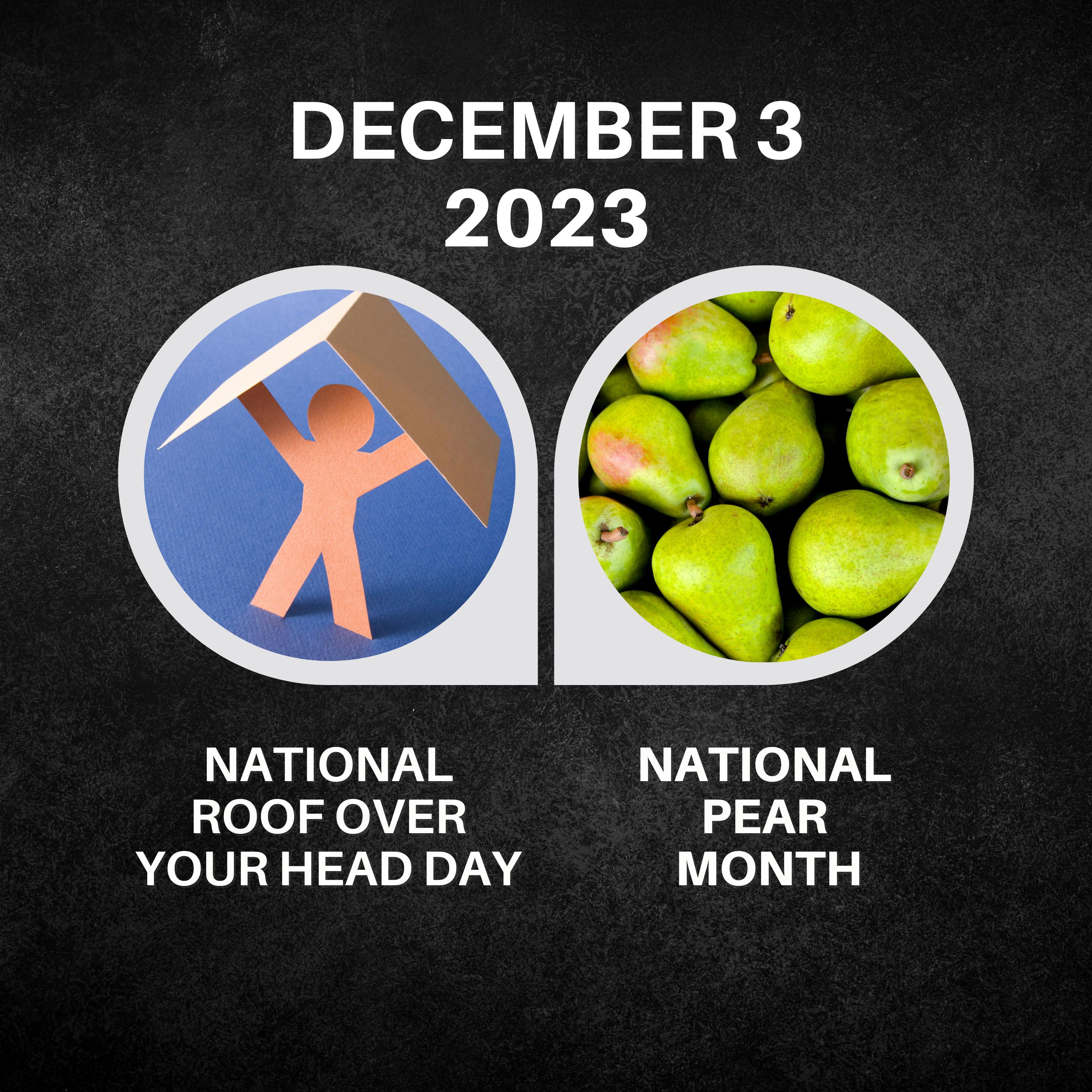 December 3, 2023 | Cherishing Home and Savoring Pears
