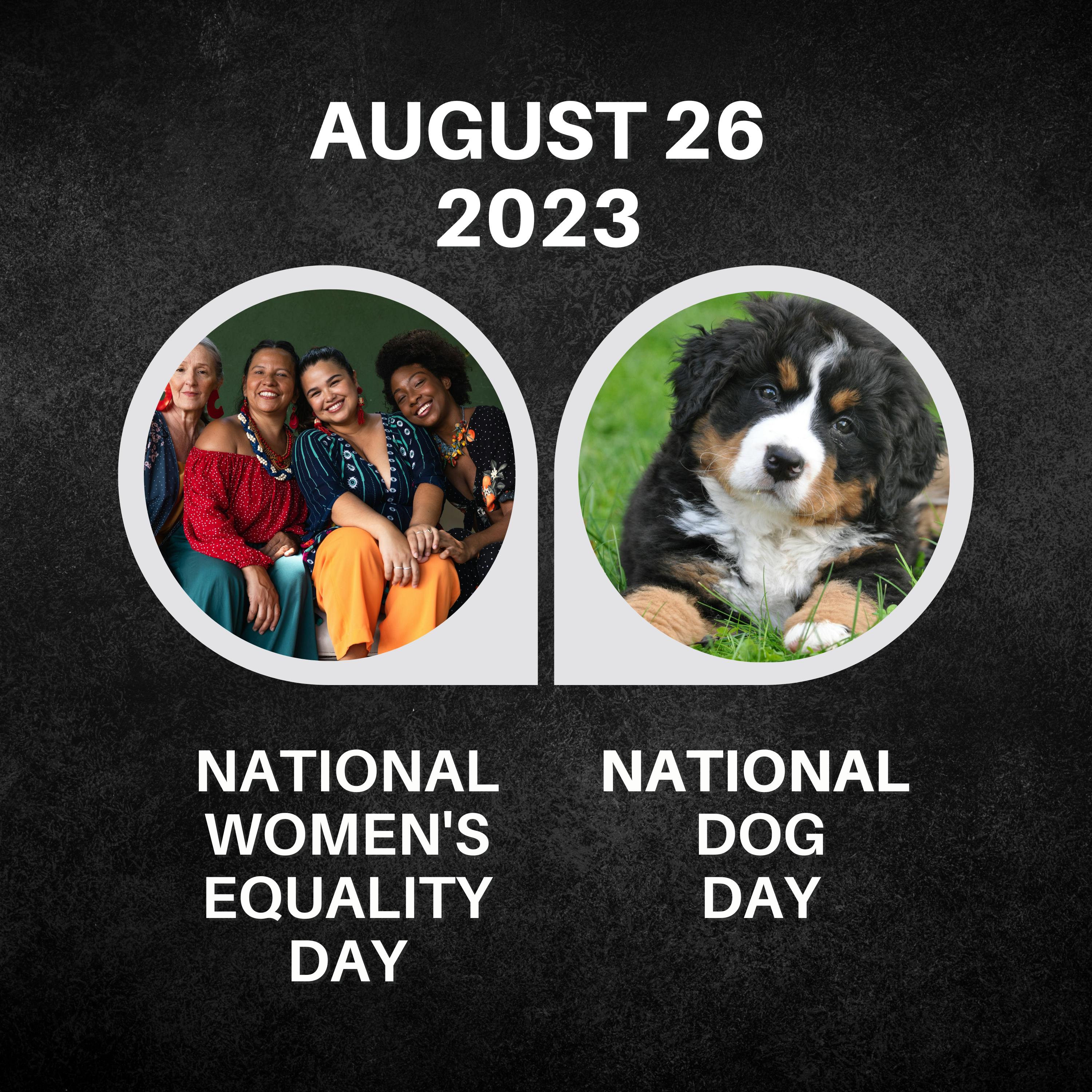 August 26, 2023 | Empowering Women & Celebrating Furry Friends