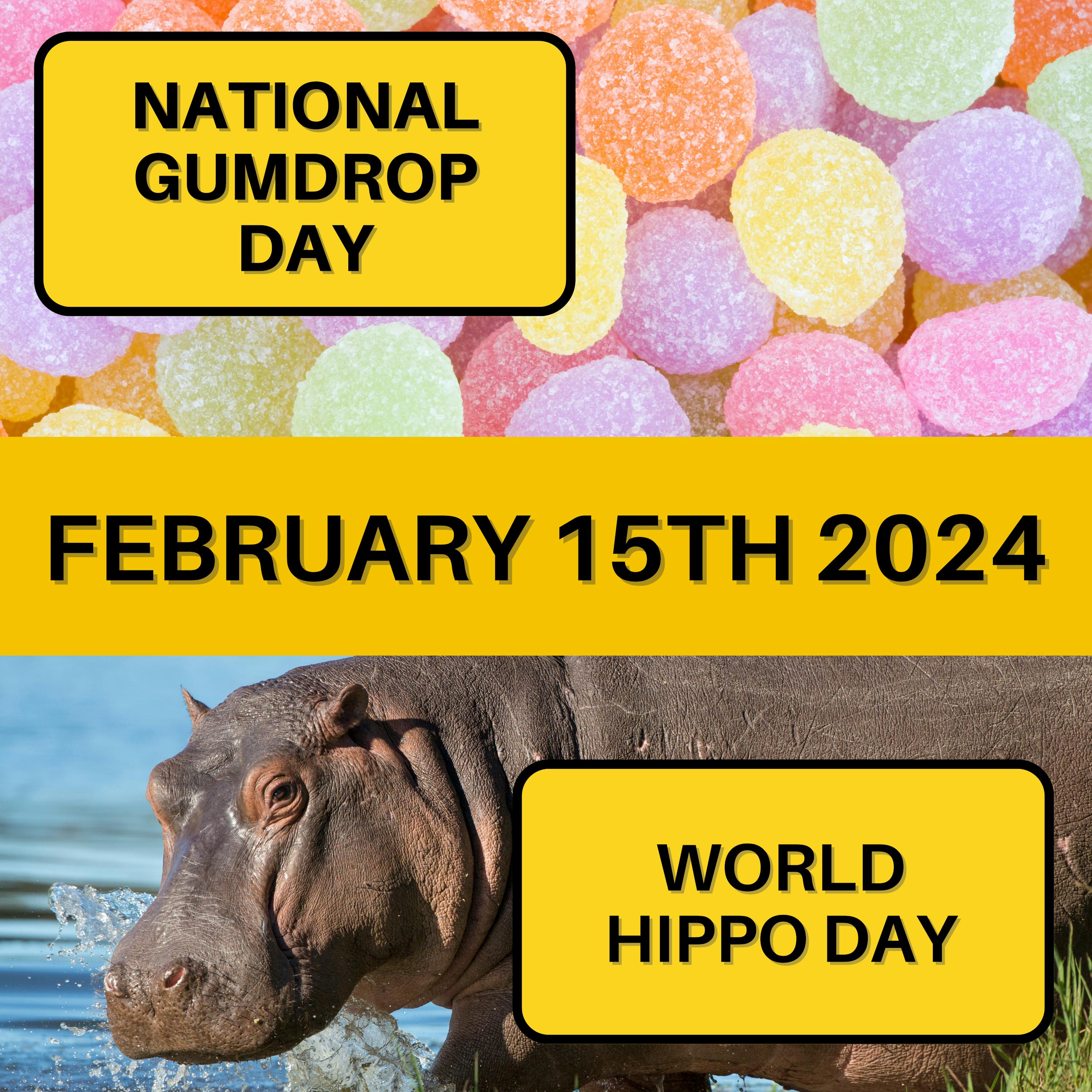 February 15, 2024 | Celebrating Sugary Sweetness and Hippo Majesty