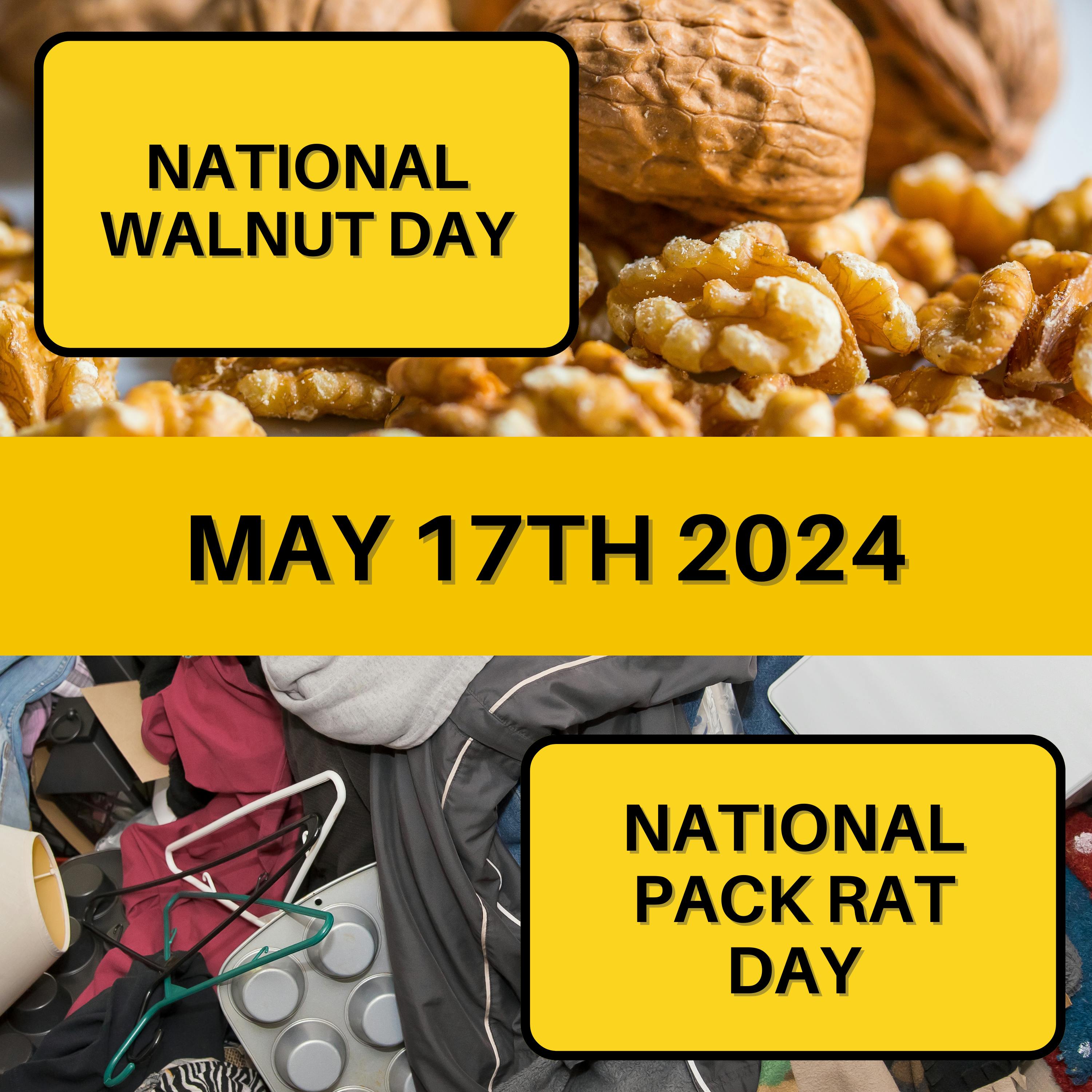 May 17, 2024 | Cracking Nuts and Tidying Up: A Day of Contrasts