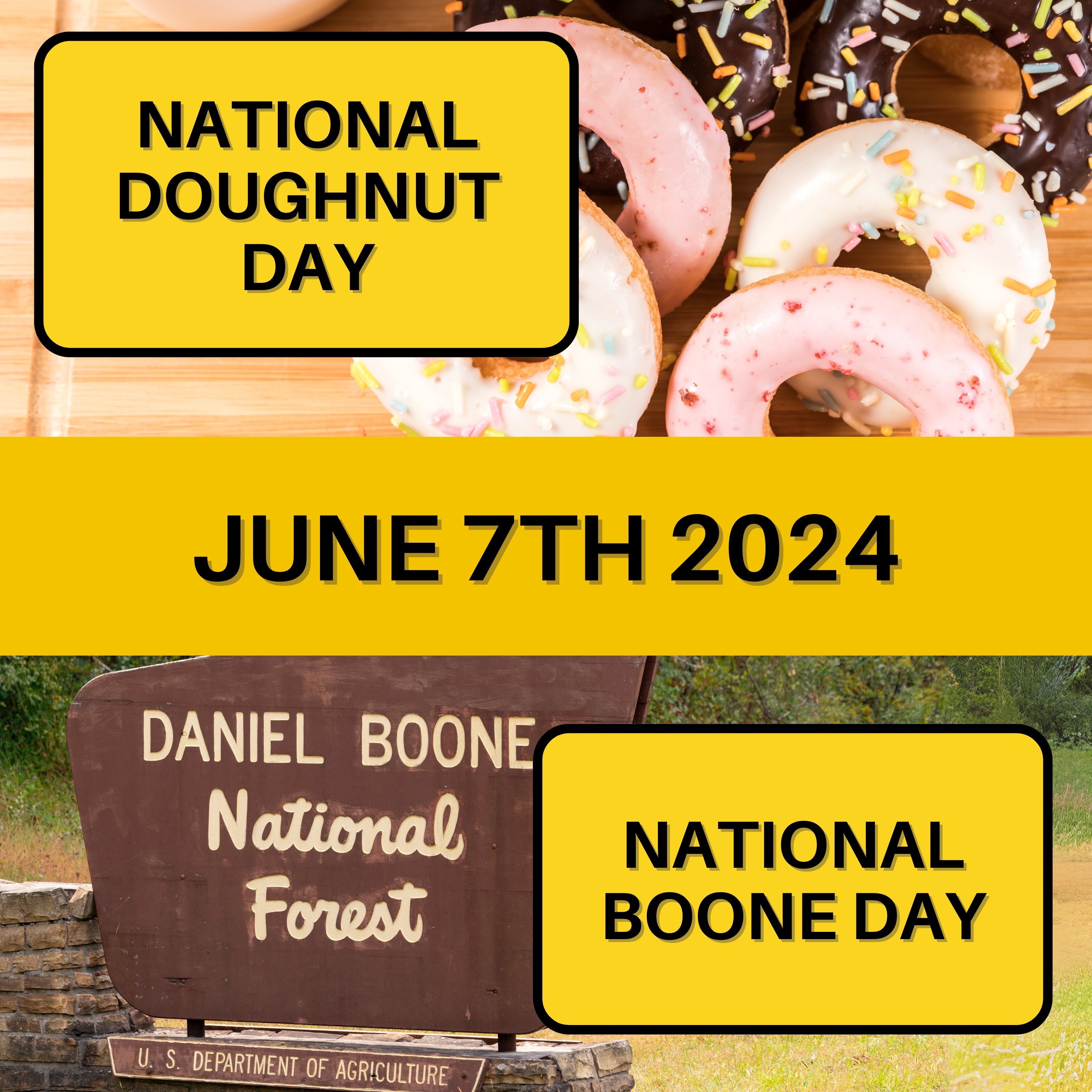 June 7, 2024 | Sweet Treats and Historical Feats