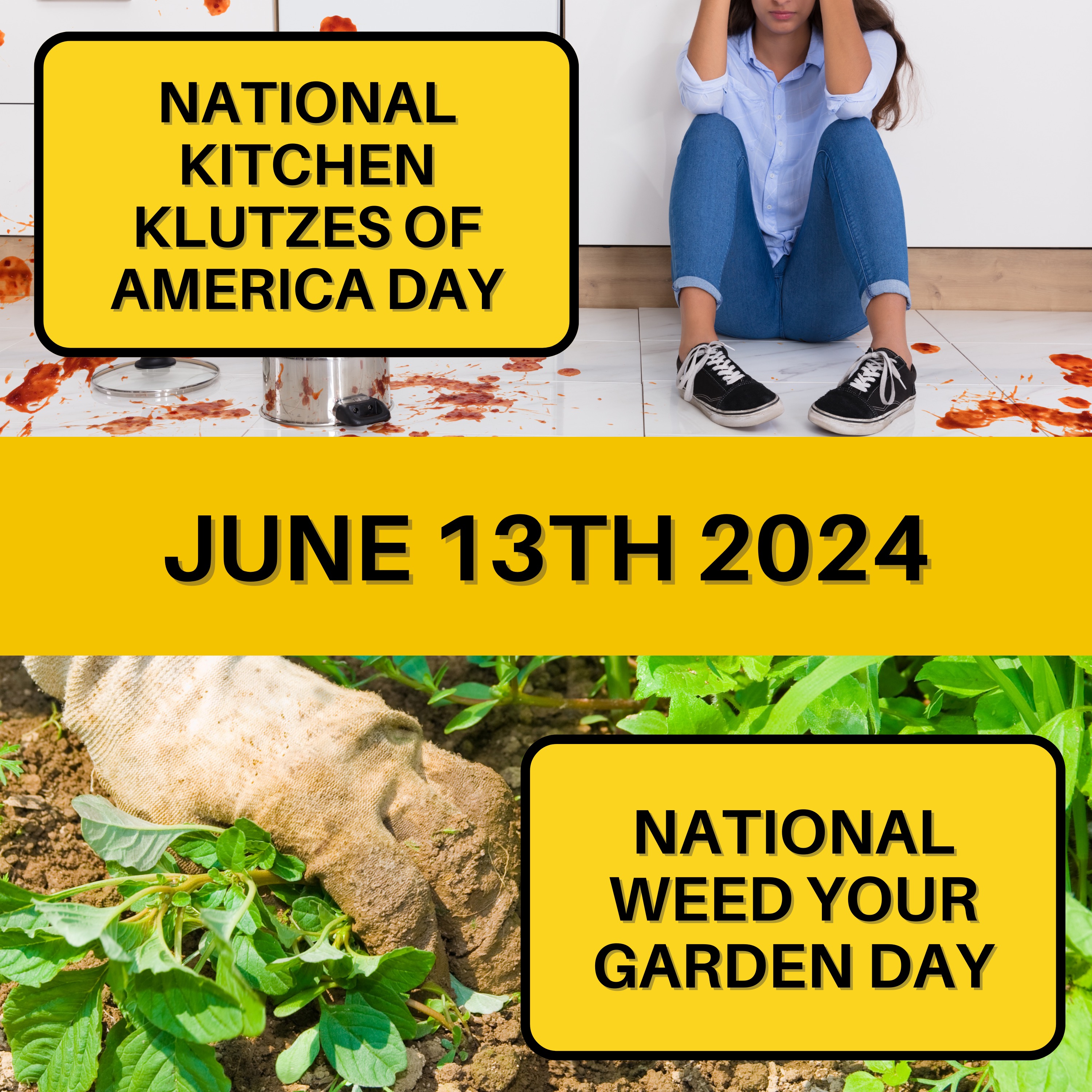 June 13, 2024 | From Clumsy Cooks to Green-Thumbed Gardeners