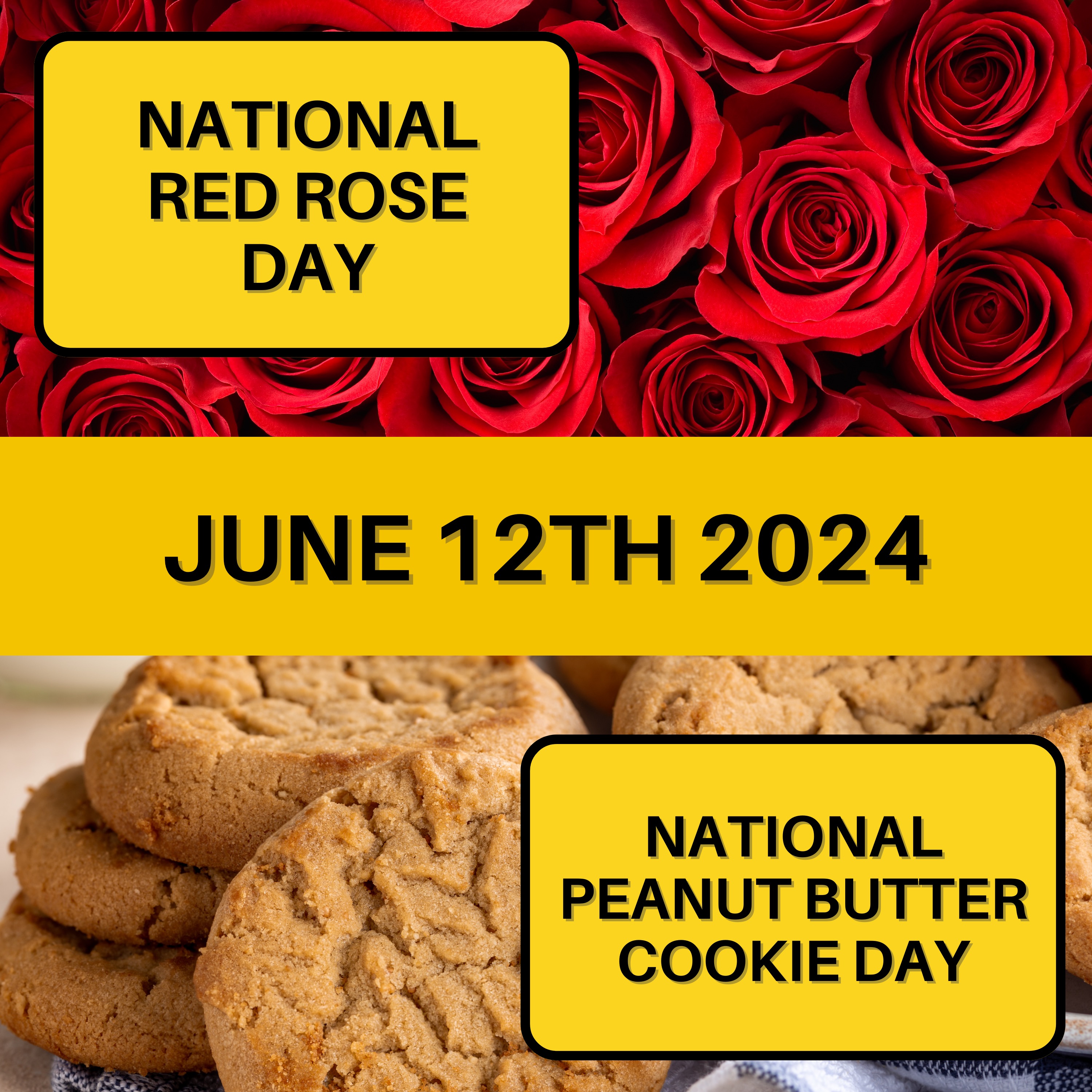 June 12, 2024 | Roses in Bloom, Cookies in Hand: National Red Rose Day and Peanut Butter Cookie Day