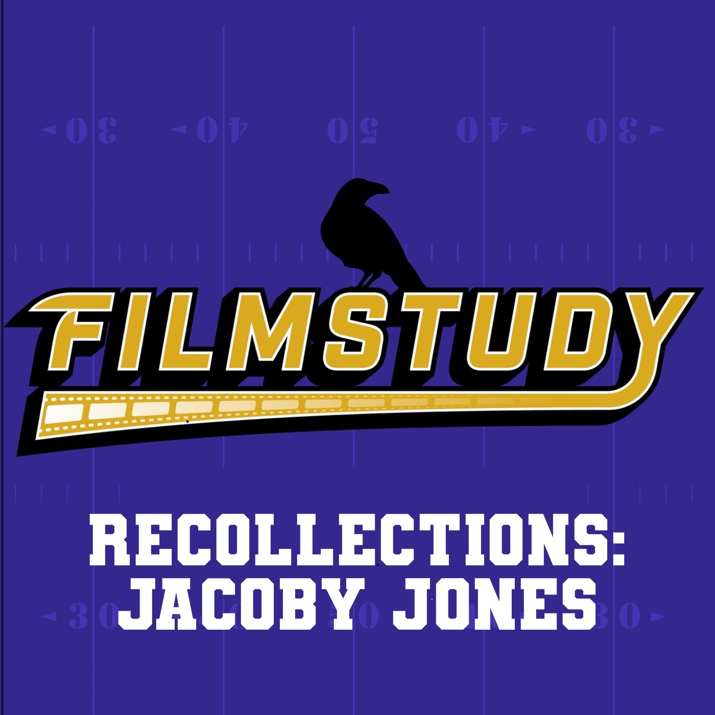 Recollections: Jacoby Jones