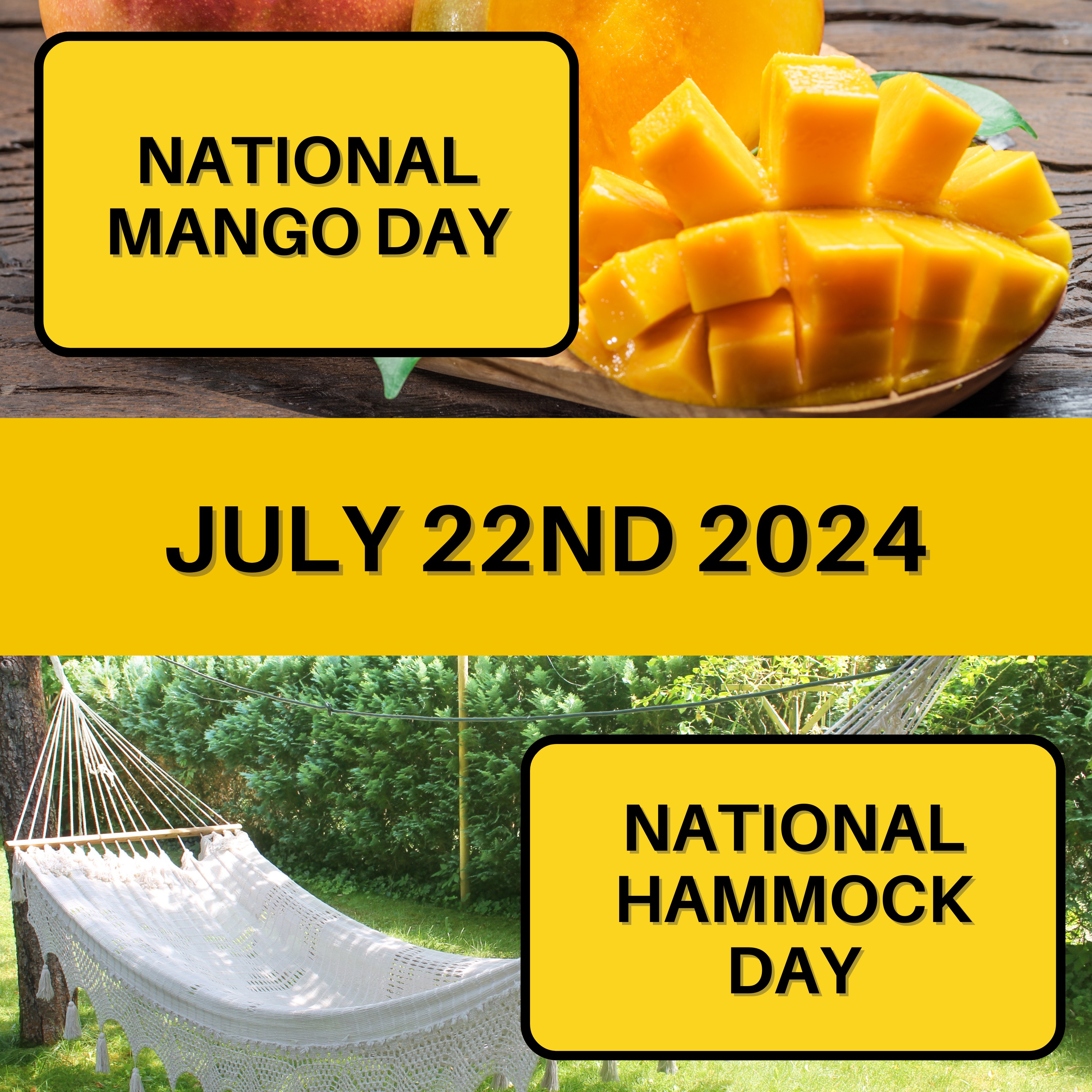 July 22, 2024 | Tropical Treats and Relaxation
