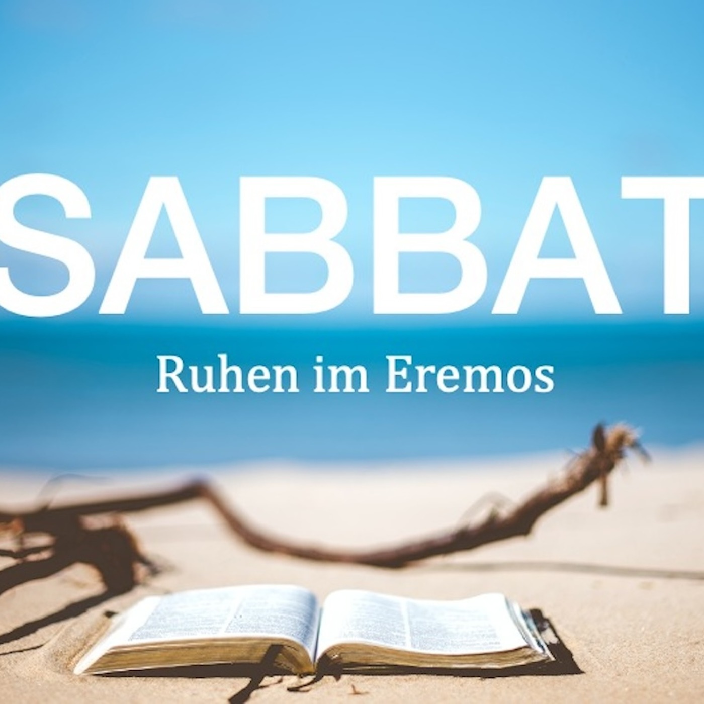 Sabbat - Ruhen im Eremos / 14.07.24 | David Kim episode artwork