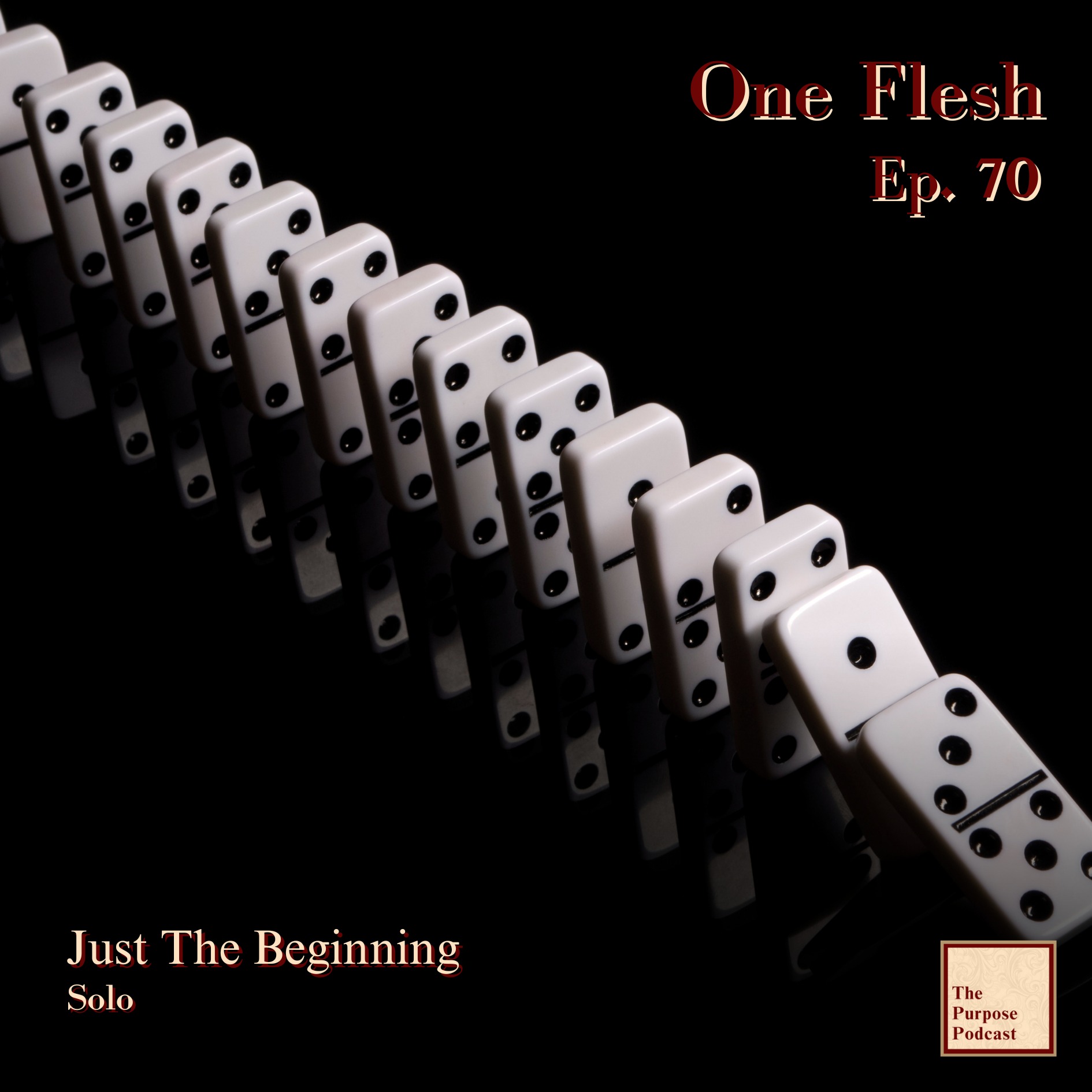 One Flesh Ep. 70 - Just The Beginning | Solo episode artwork