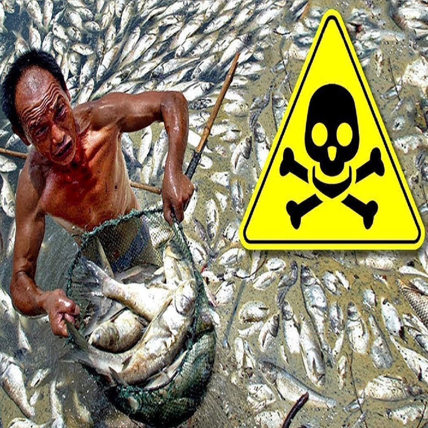 Worst Chinese Food Scandals in History