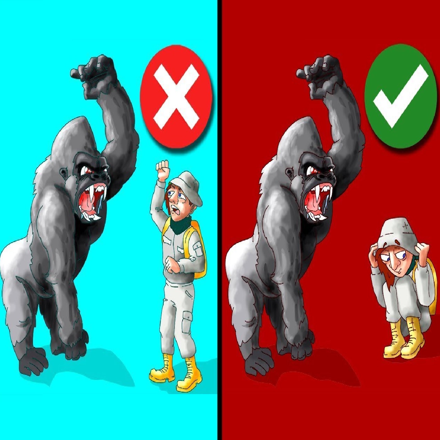 Tips On How to Survive Wild Animal Attacks