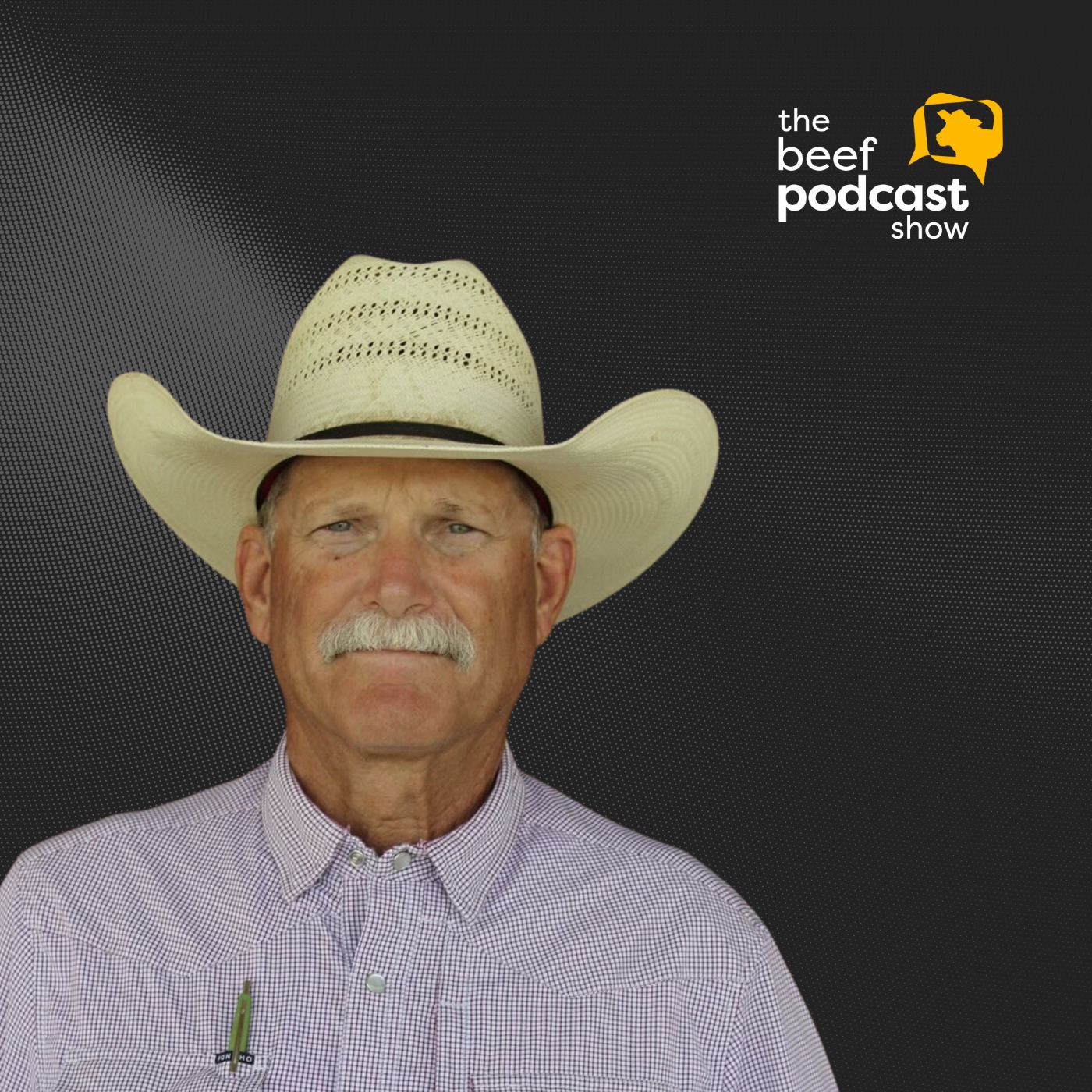 The Beef Podcast Show