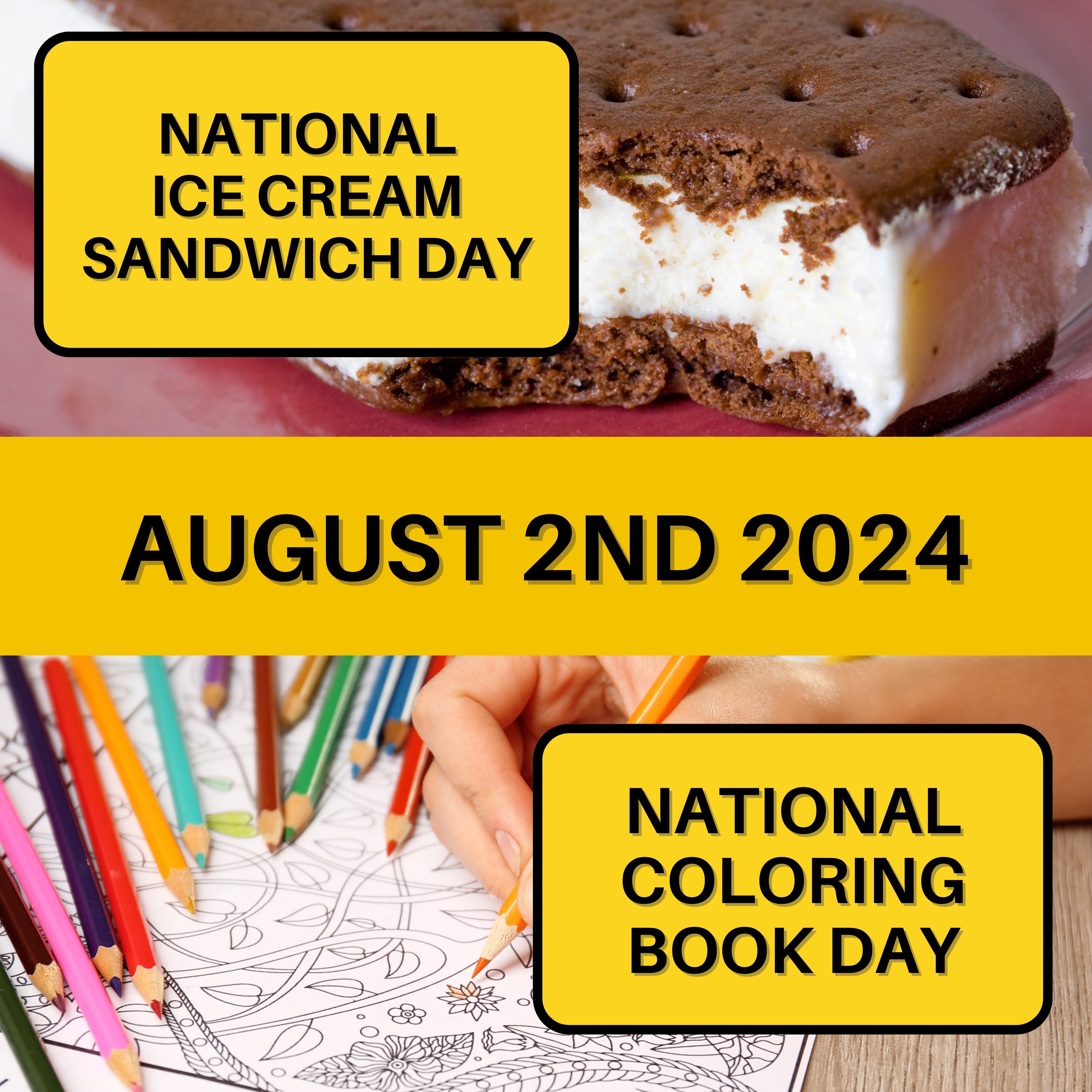 August 2, 2024 | Cool Treats and Colorful Pages