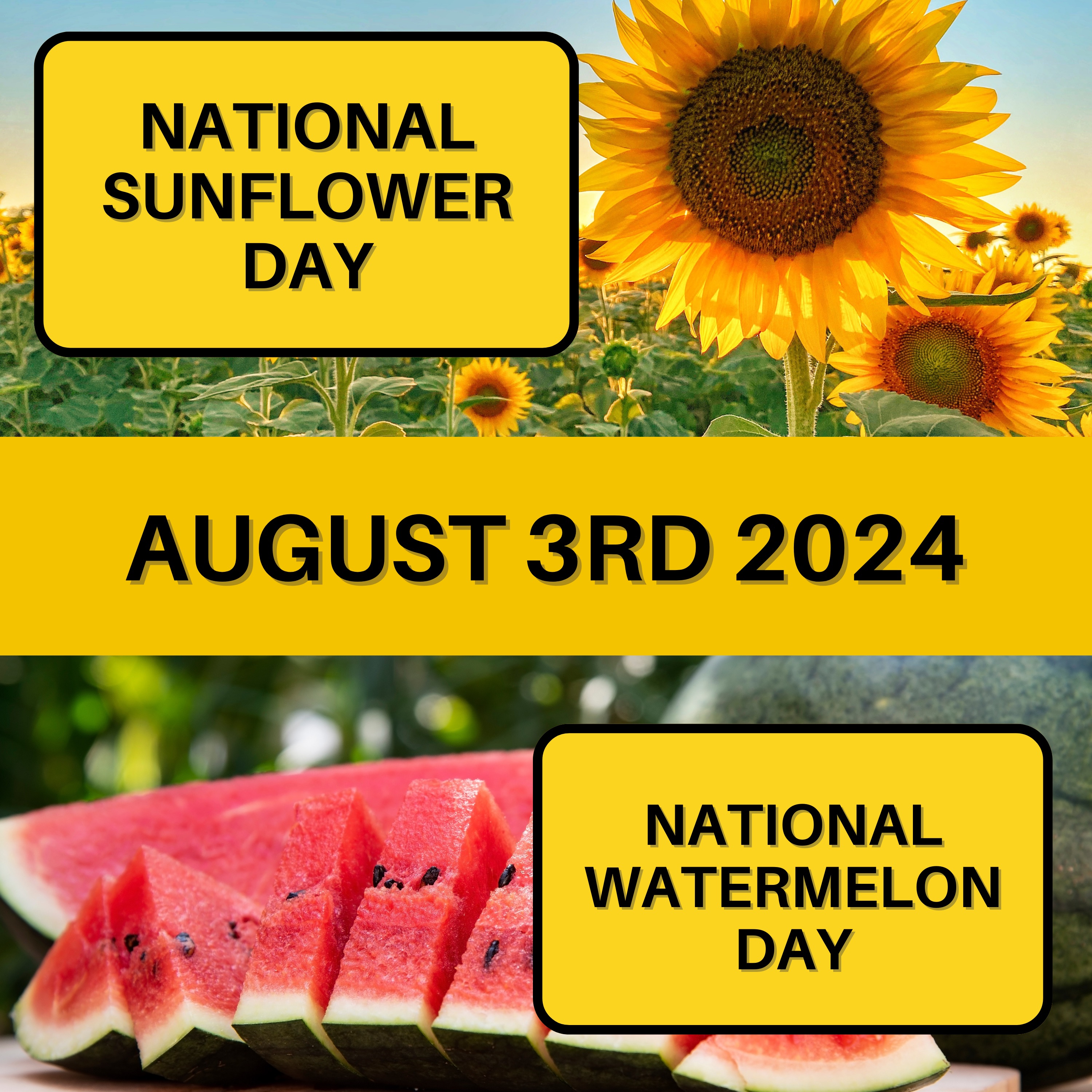 August 3, 2024 | Sunny Blooms and Juicy Bites