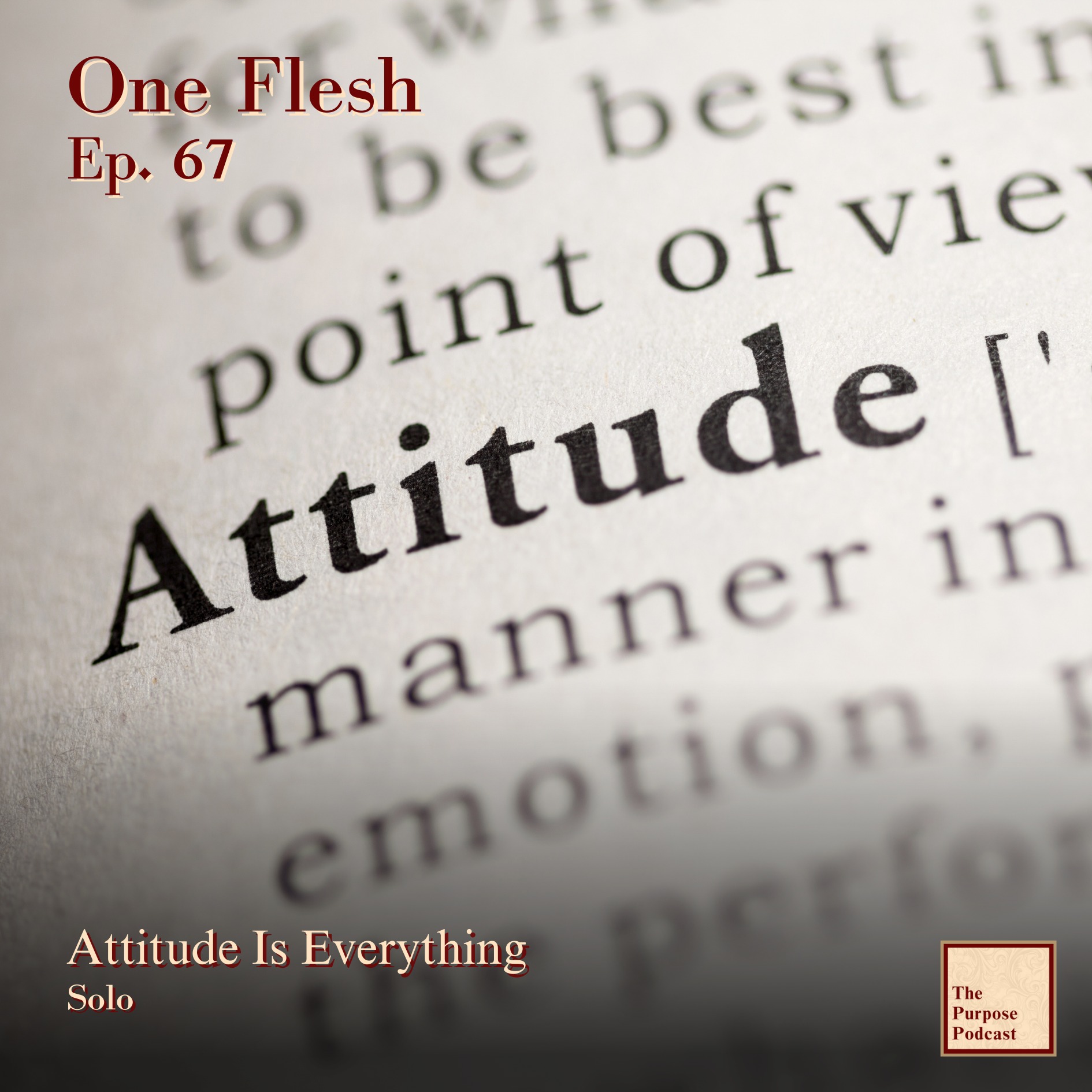 One Flesh Ep. 67 - Attitude Is Everything | Solo episode artwork