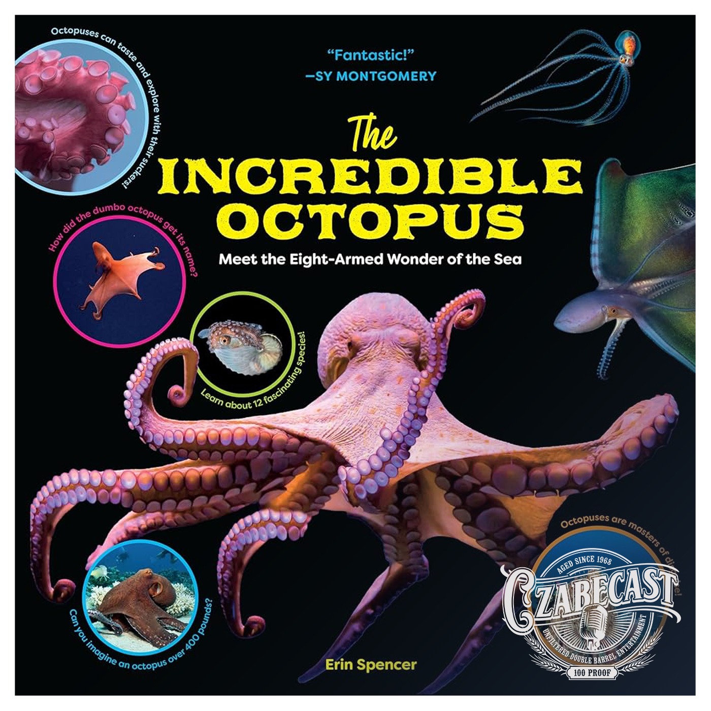 We Don't Talk Enough About The Octopus