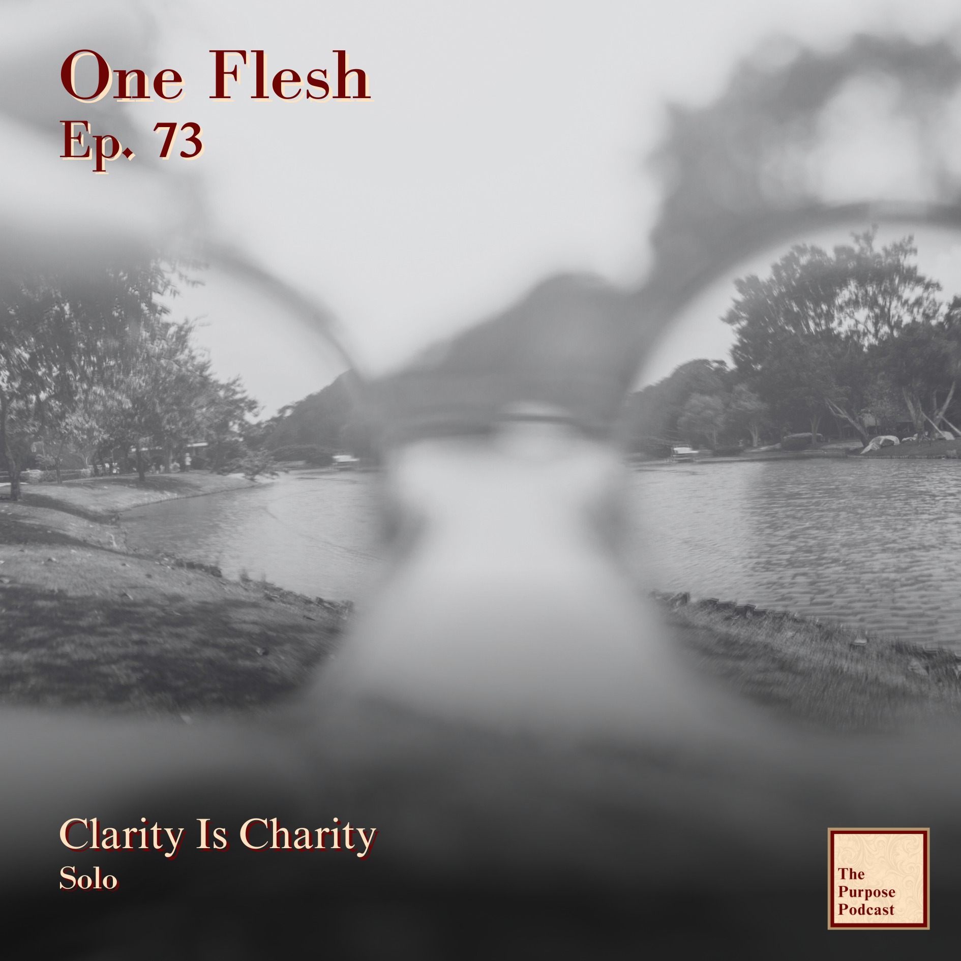 One Flesh Ep. 73 - Clarity Is Charity | Solo episode artwork