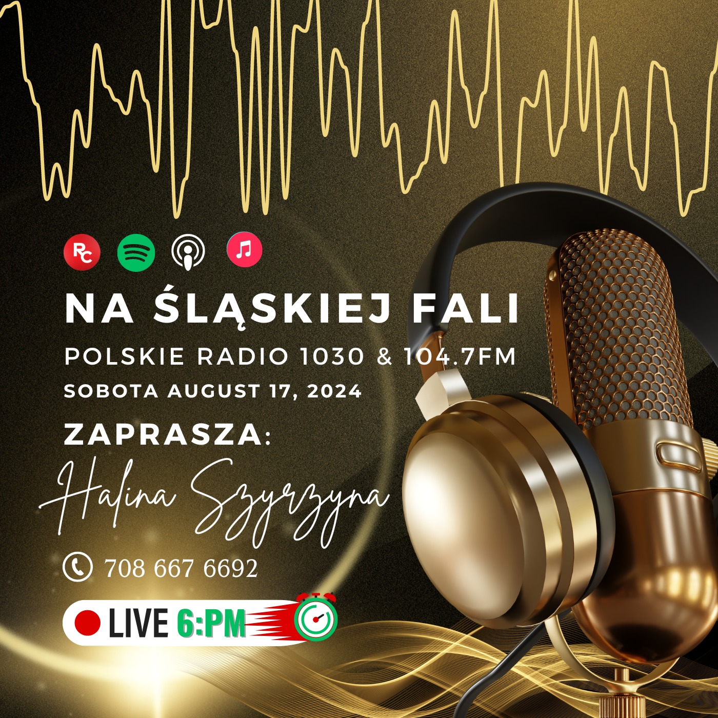 Radio Na Śląskiej Fali Chicago