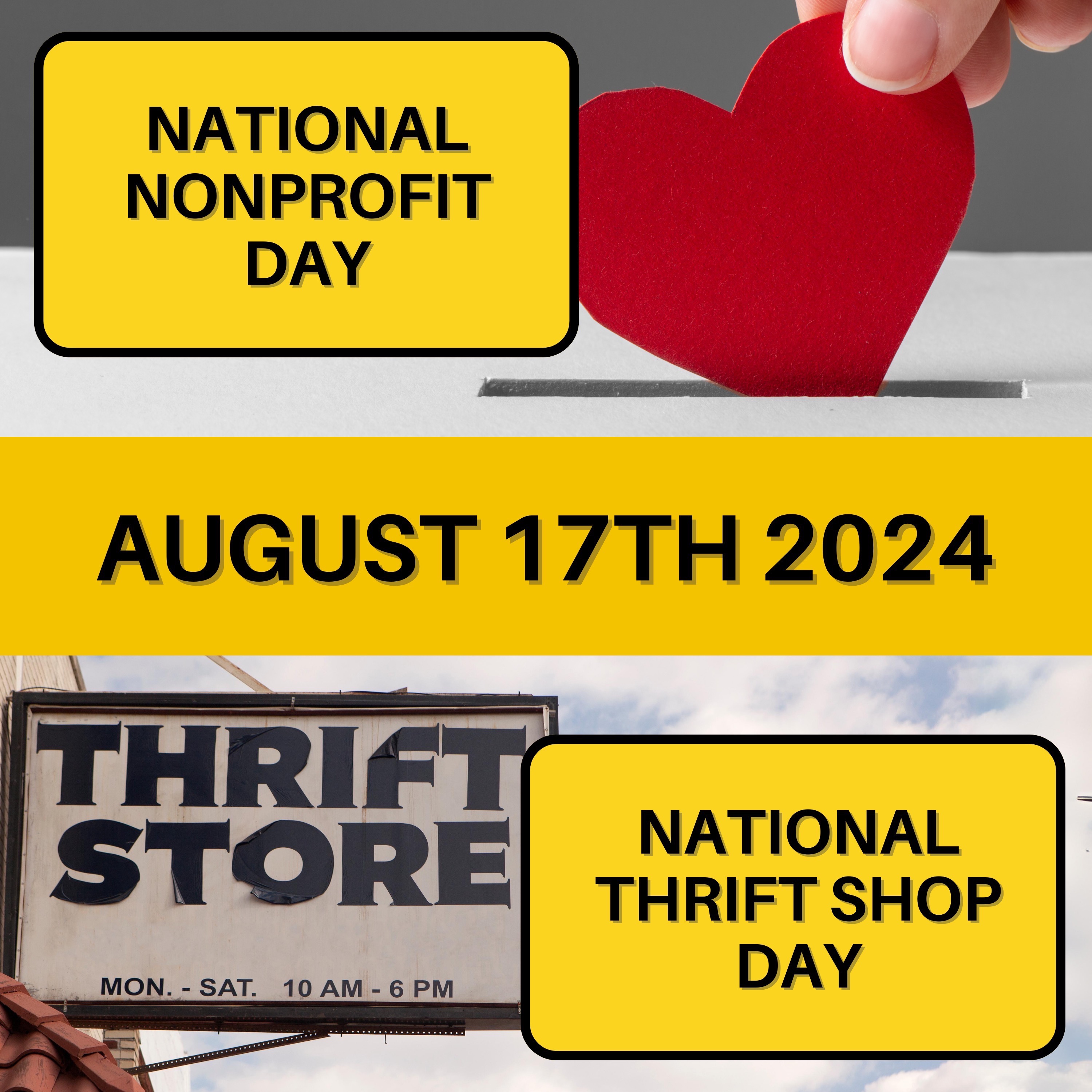 August 17, 2024 | Giving Back and Finding Treasures