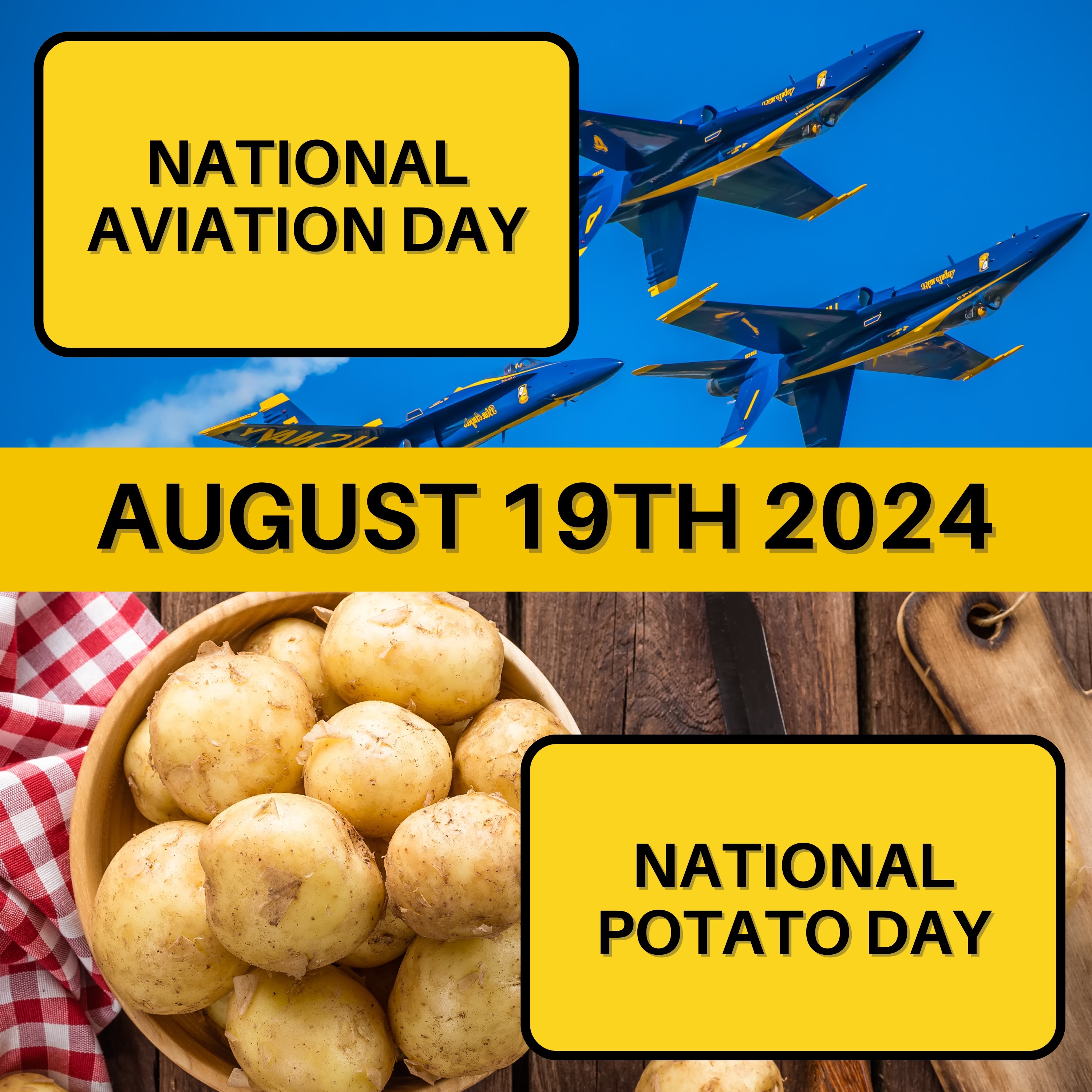 August 19, 2024 | High Flights and Hearty Bites