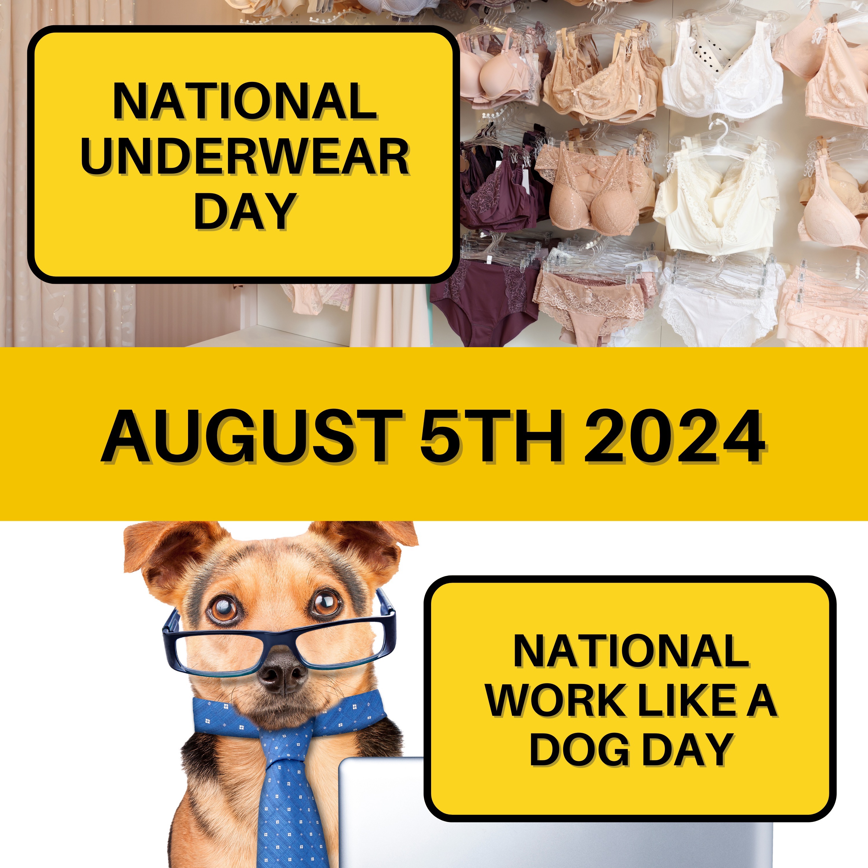 August 5, 2024 | Daily Essentials and Hard Work