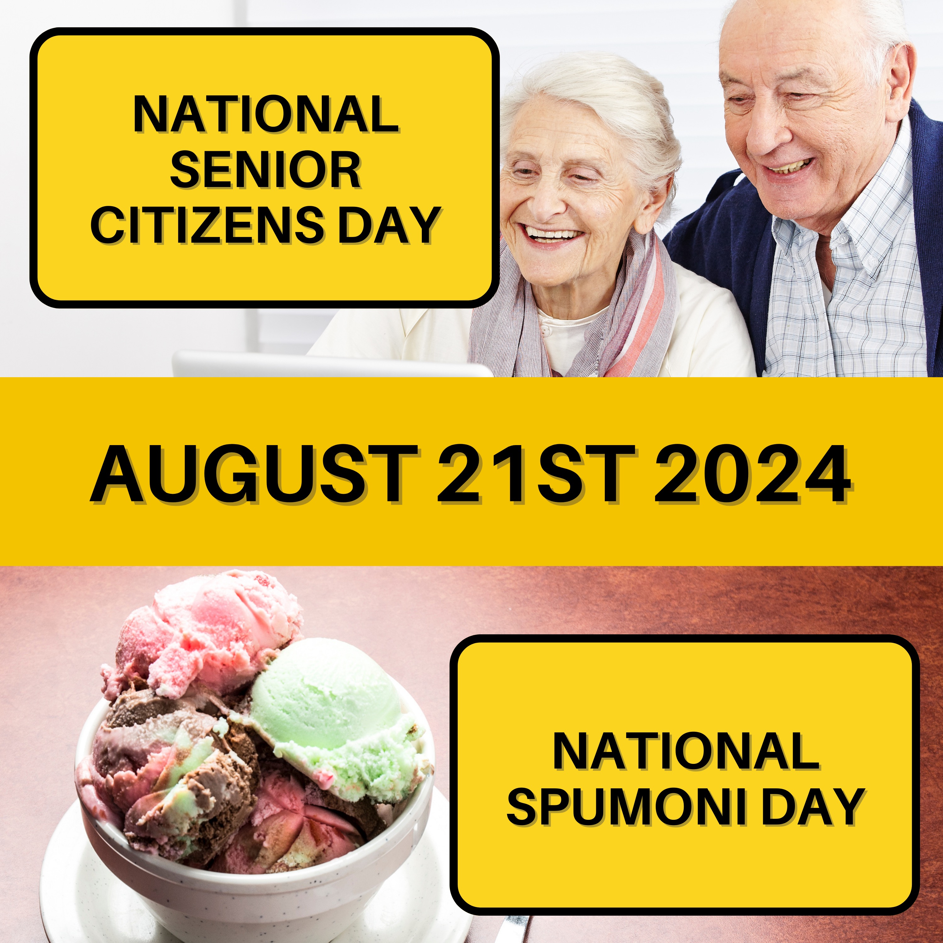 August 21, 2024 | Senior Wisdom and Spumoni Delights