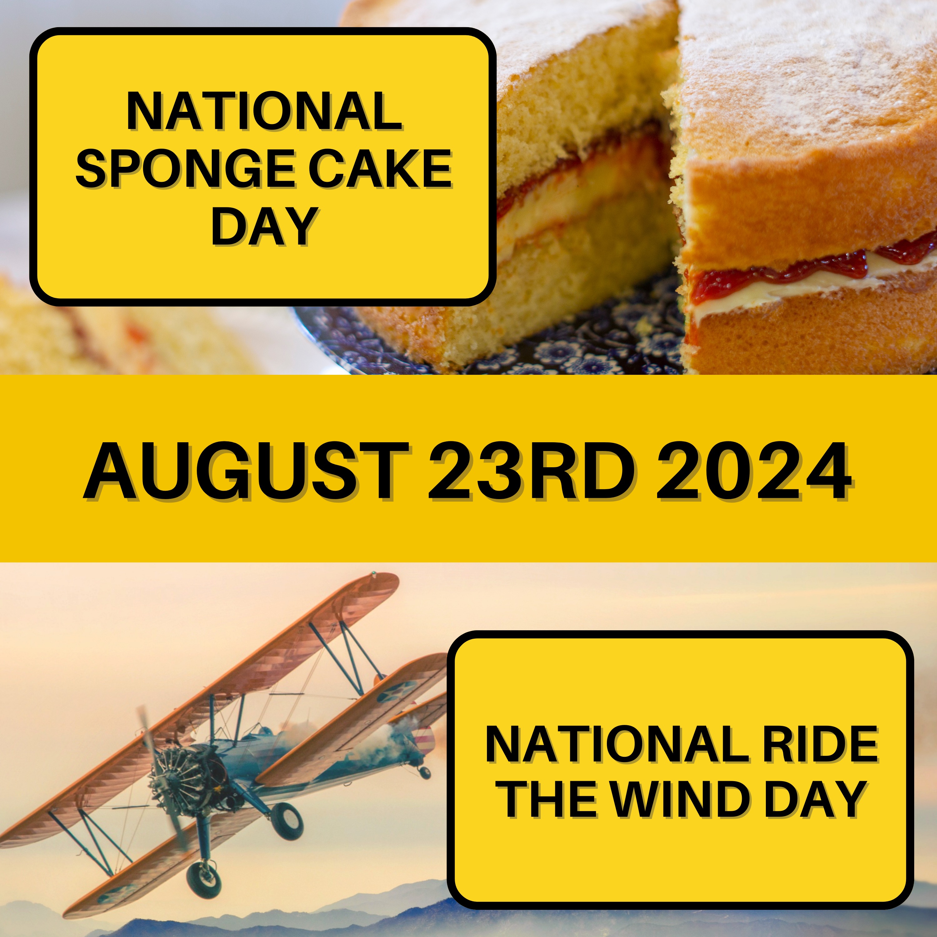 August 23, 2024 | Fluffy Treats and Breezy Adventures