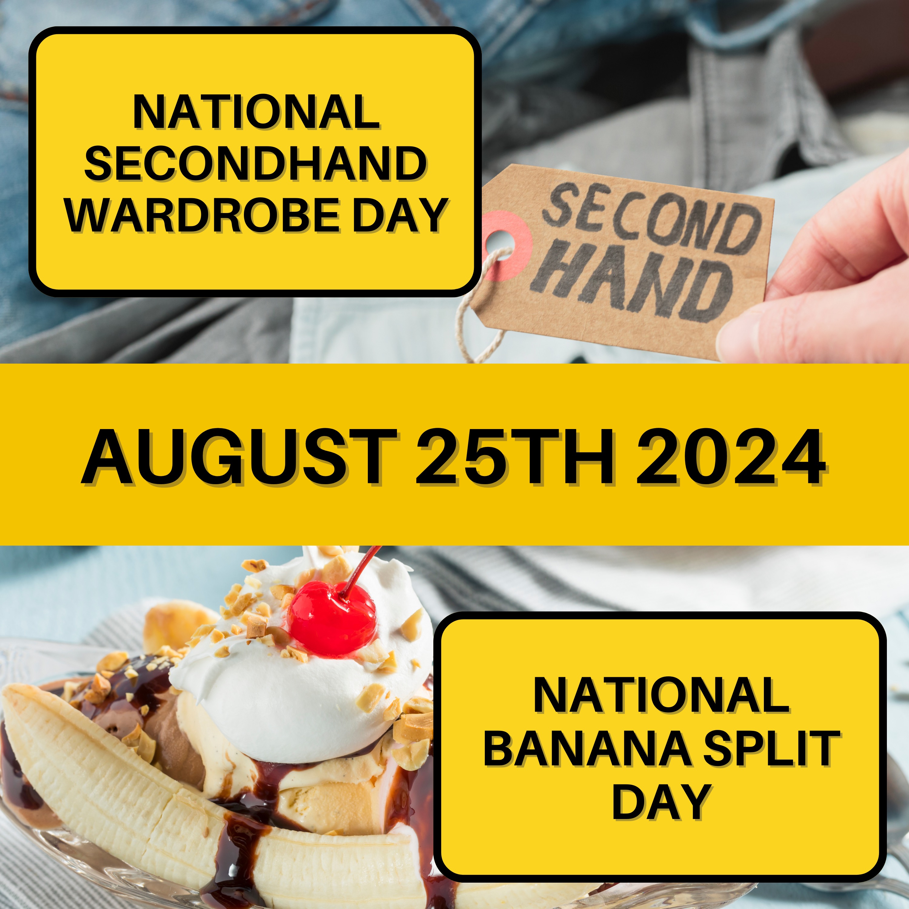 August 25, 2024 | Eco-Friendly Fashion and Ice Cream Delights