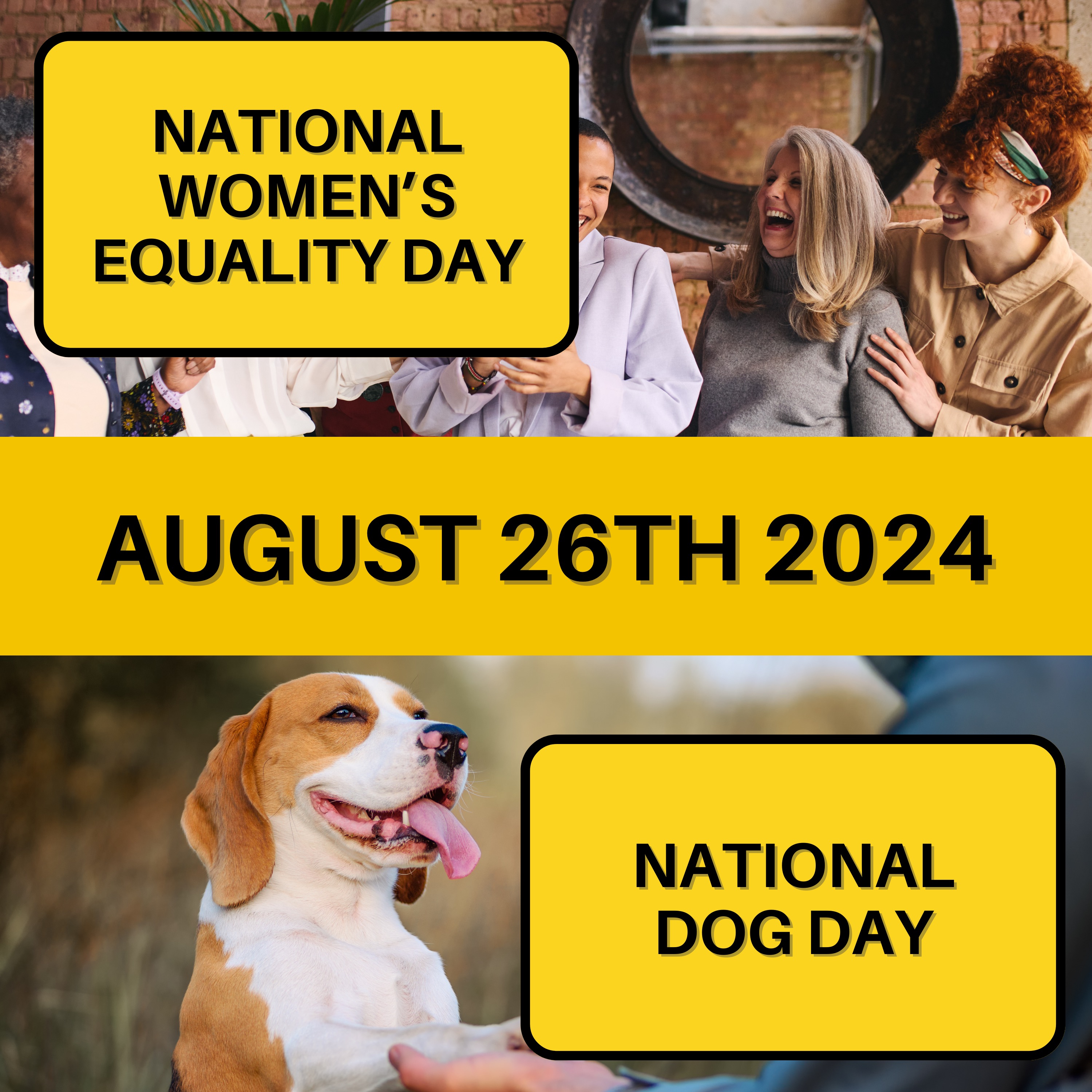 August 26, 2024 | Empowerment and Puppy Love