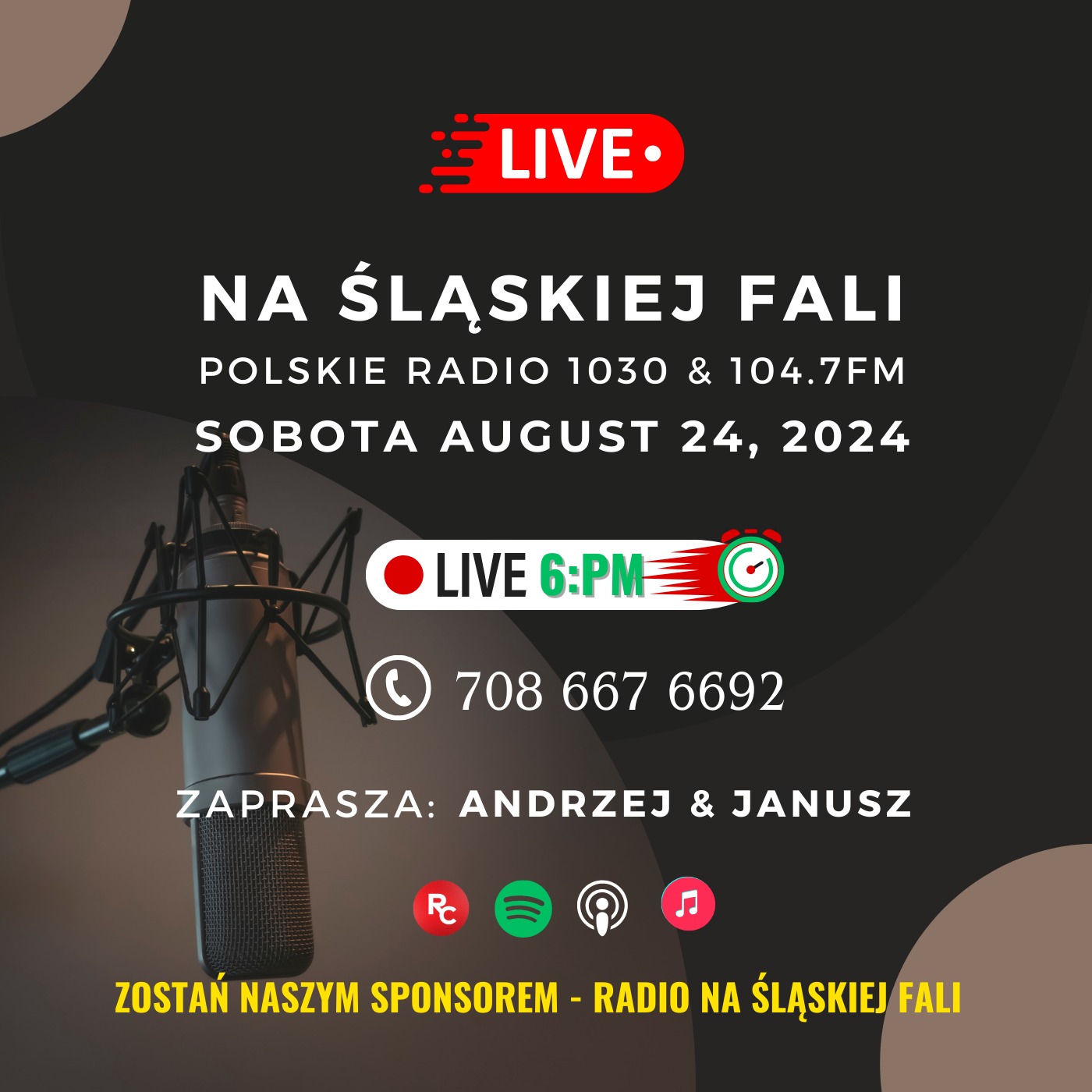 Radio Na Śląskiej Fali Chicago