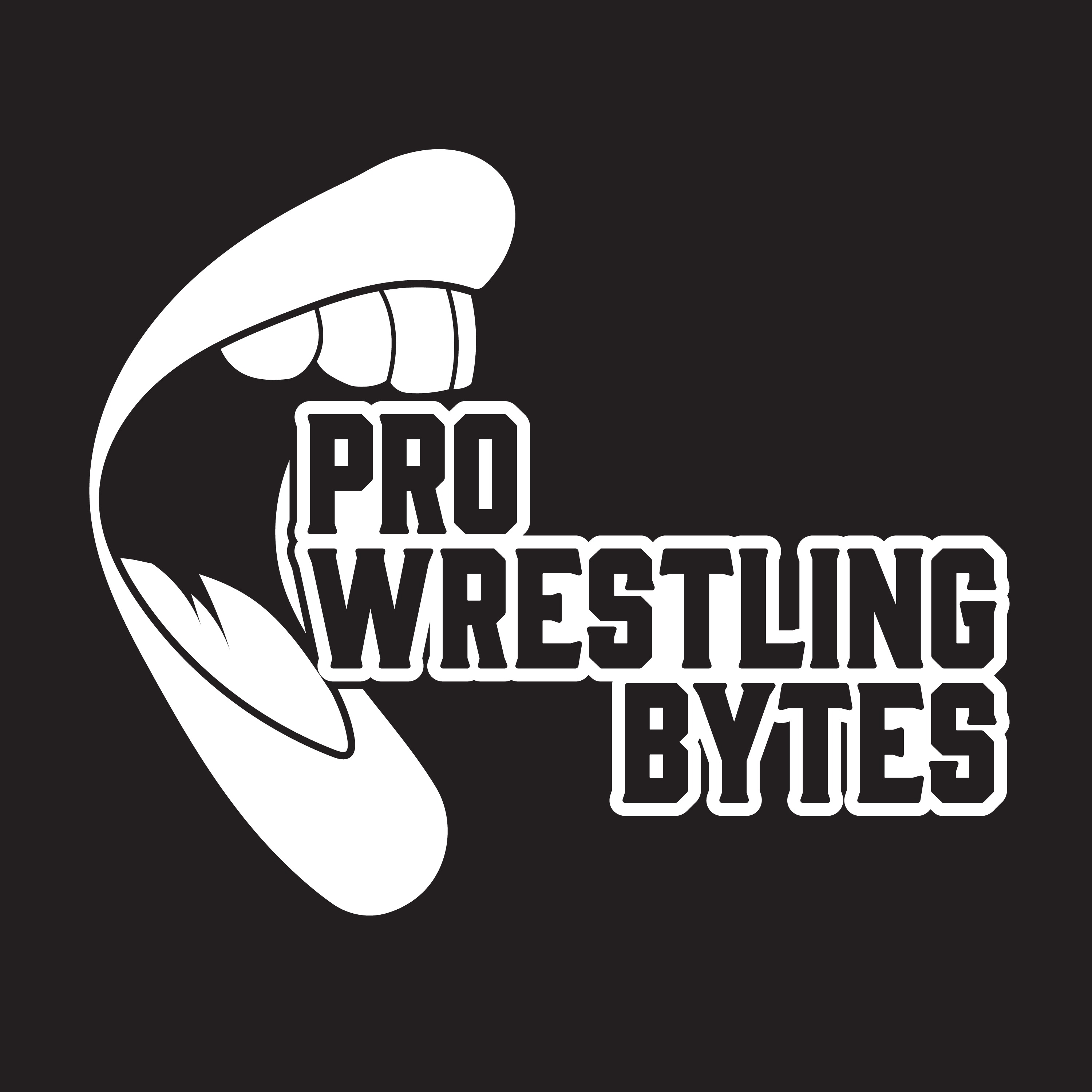 Pro Wrestling Bytes