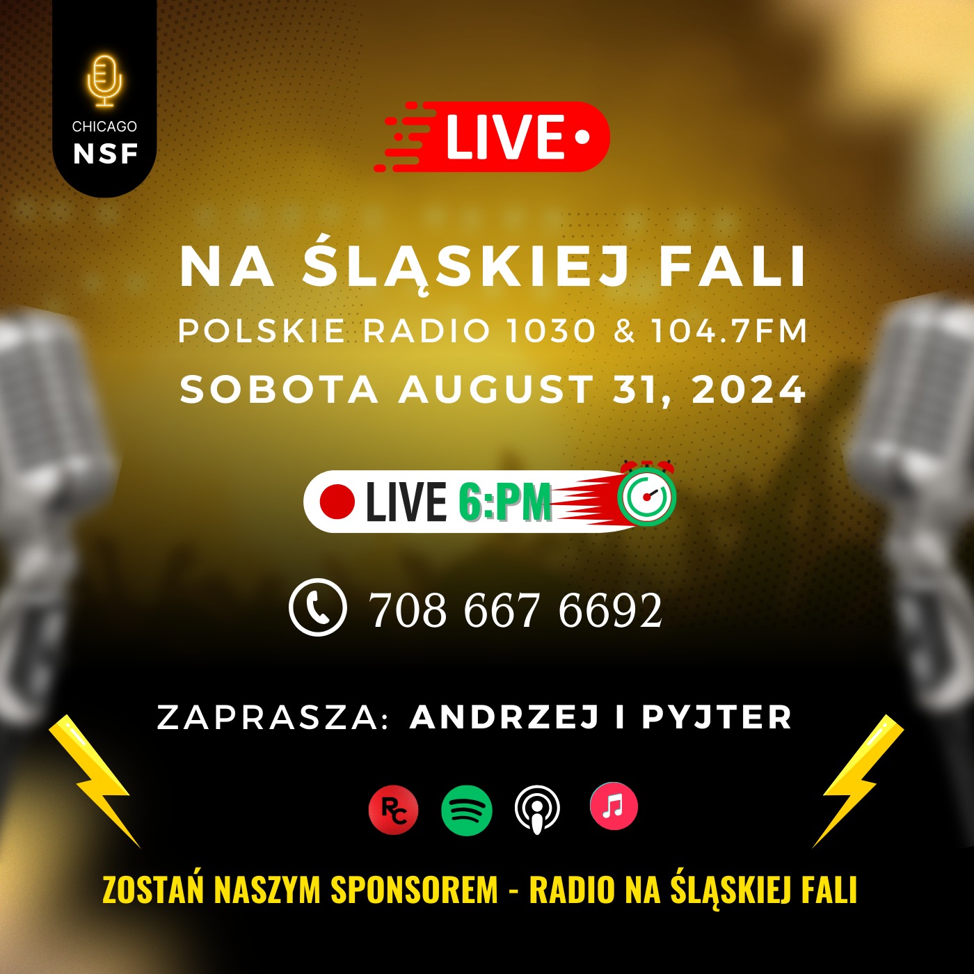 Radio Na Śląskiej Fali Chicago