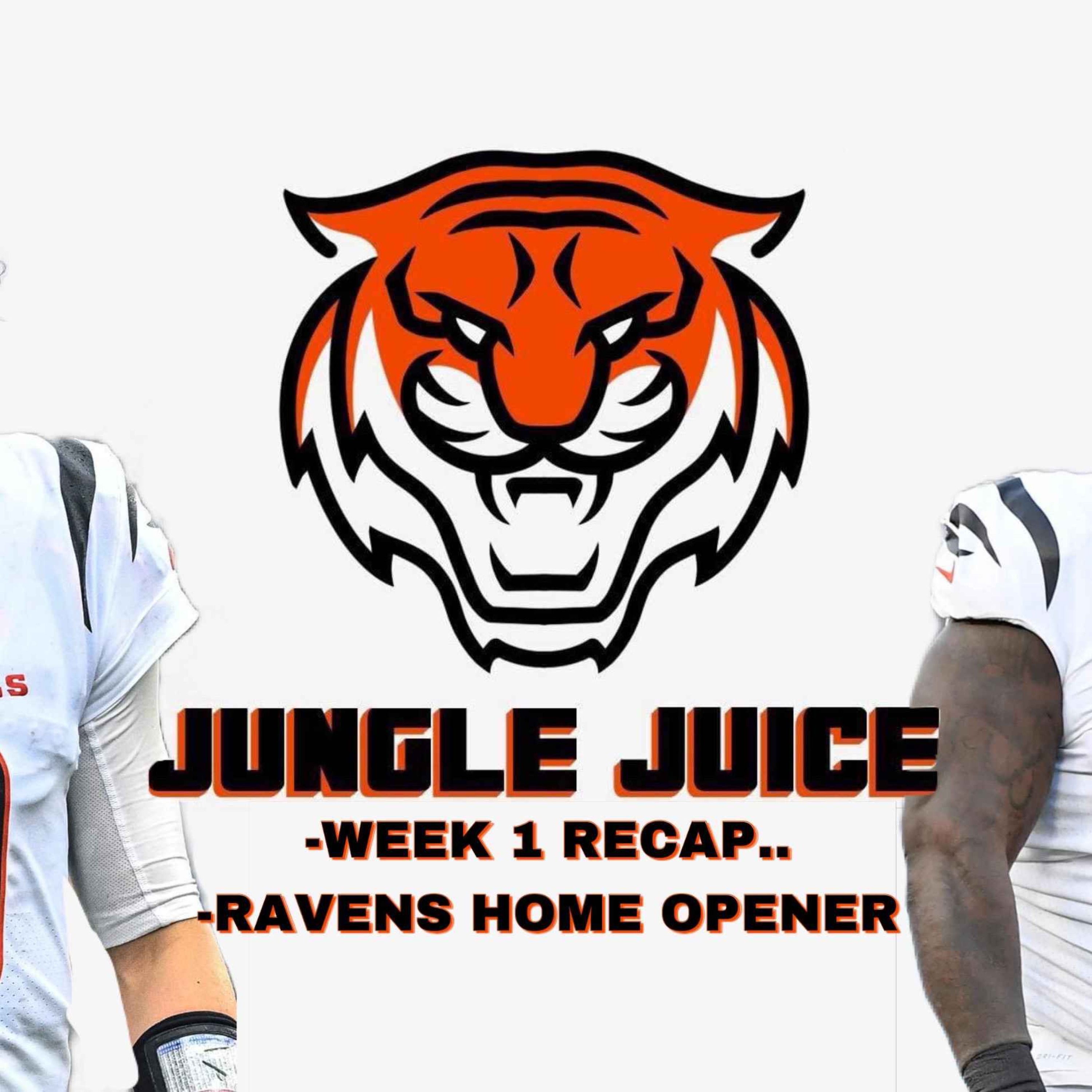 Browns Recap, Ravens Preview and the Bengals Panic Button episode artwork