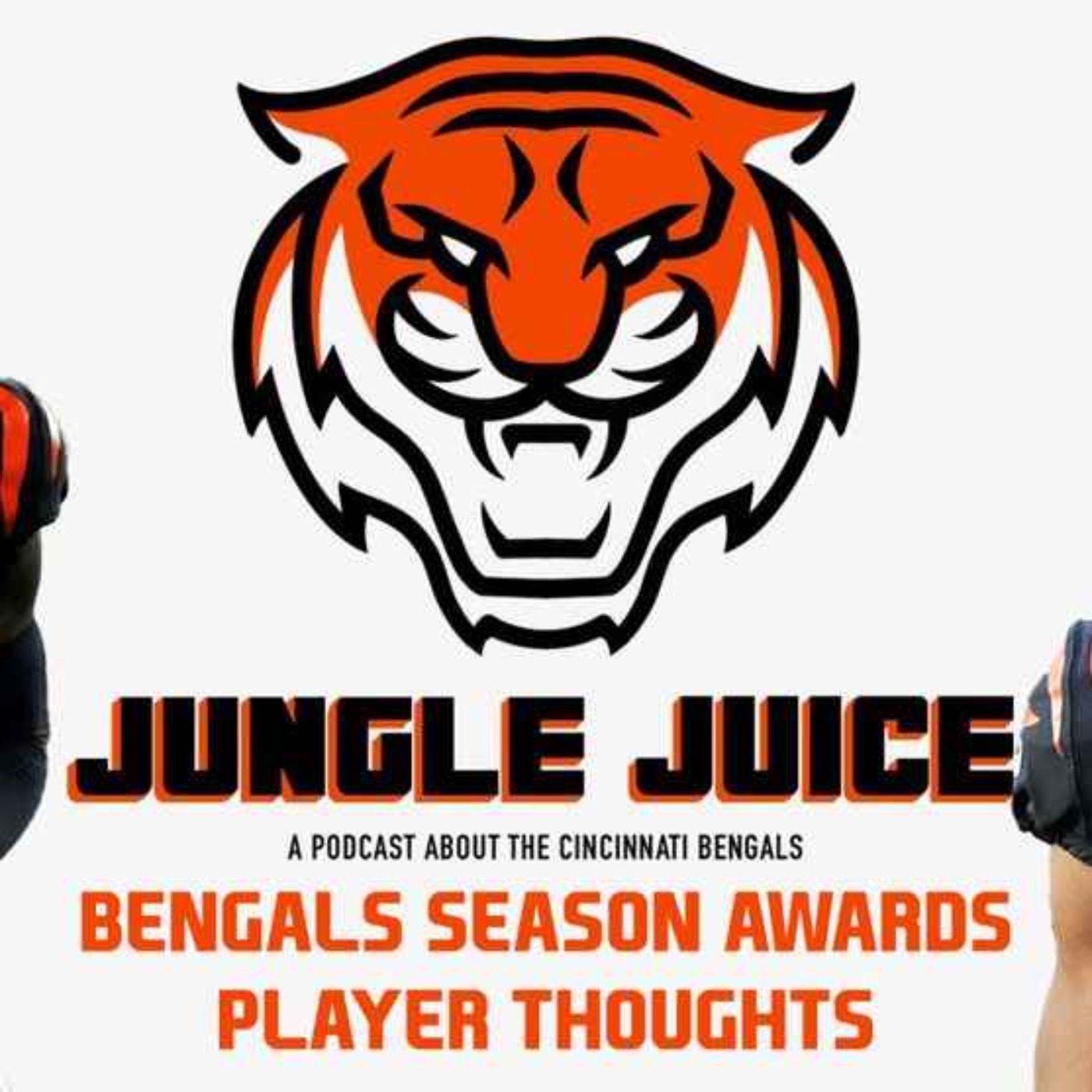 Bengals Season Awards and Player Recaps episode artwork