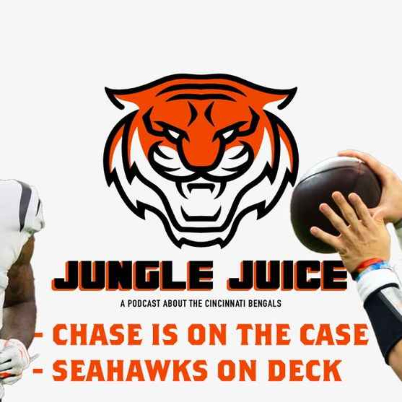 Chase is on the Case; Seahawks on Deck episode artwork