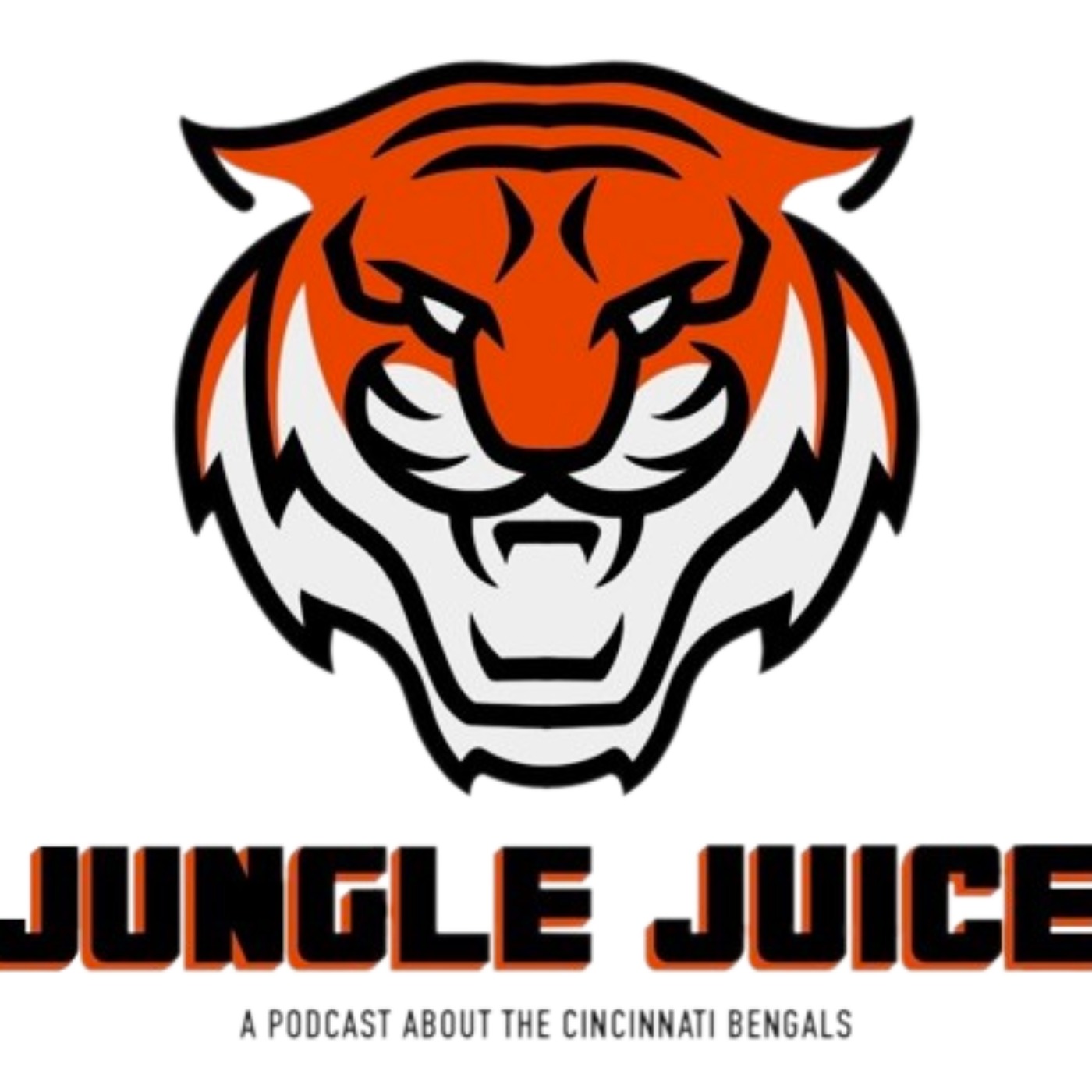 Bengals Day Three NFL Draft Targets episode artwork
